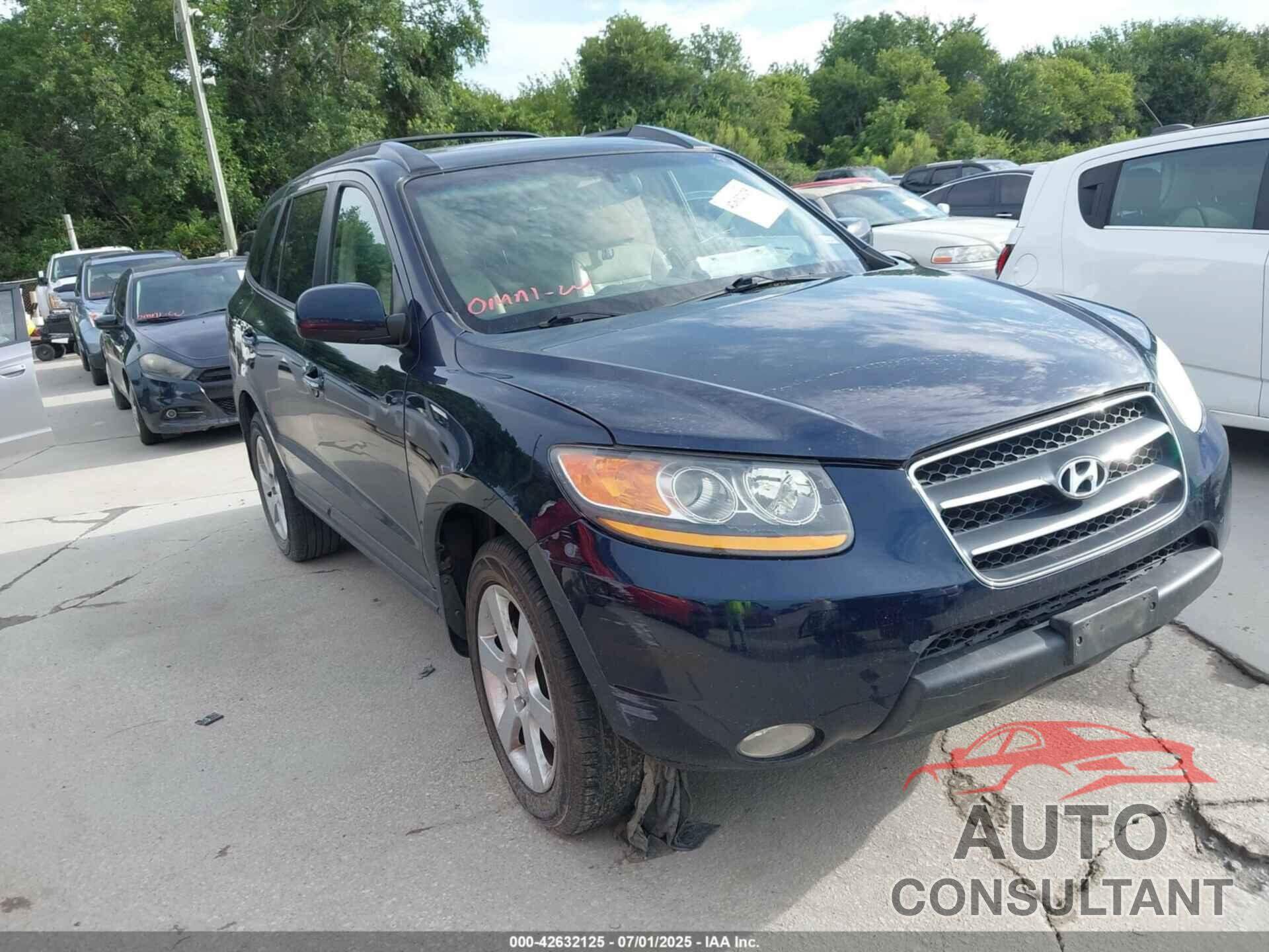 HYUNDAI SANTA FE 2009 - 5NMSH13EX9H306635