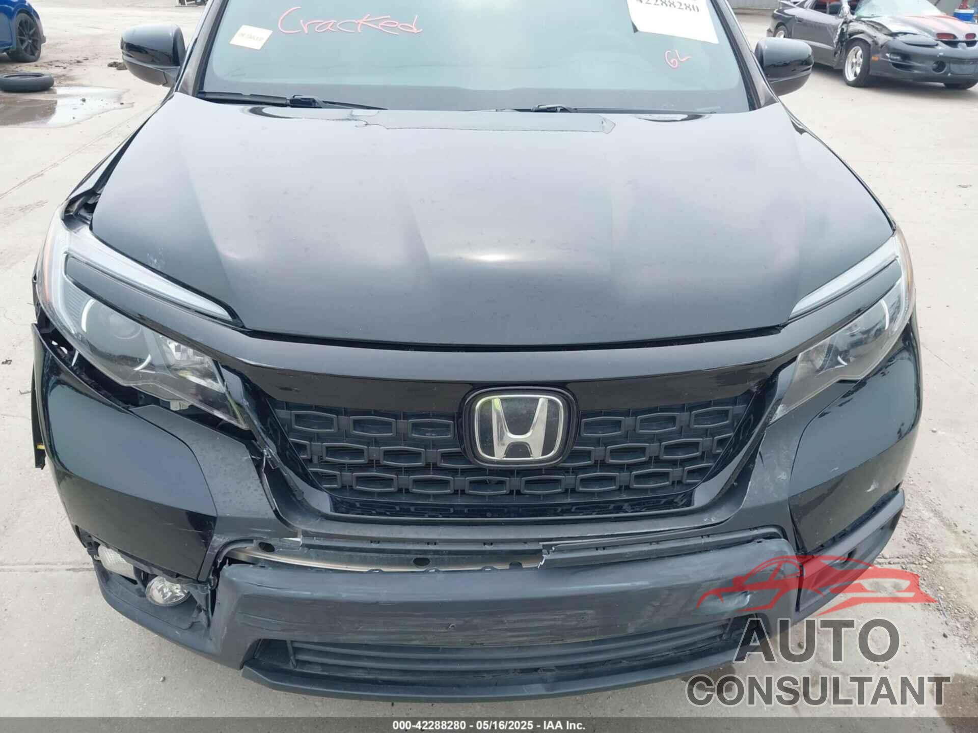 HONDA PASSPORT 2019 - 5FNYF7H25KB008597