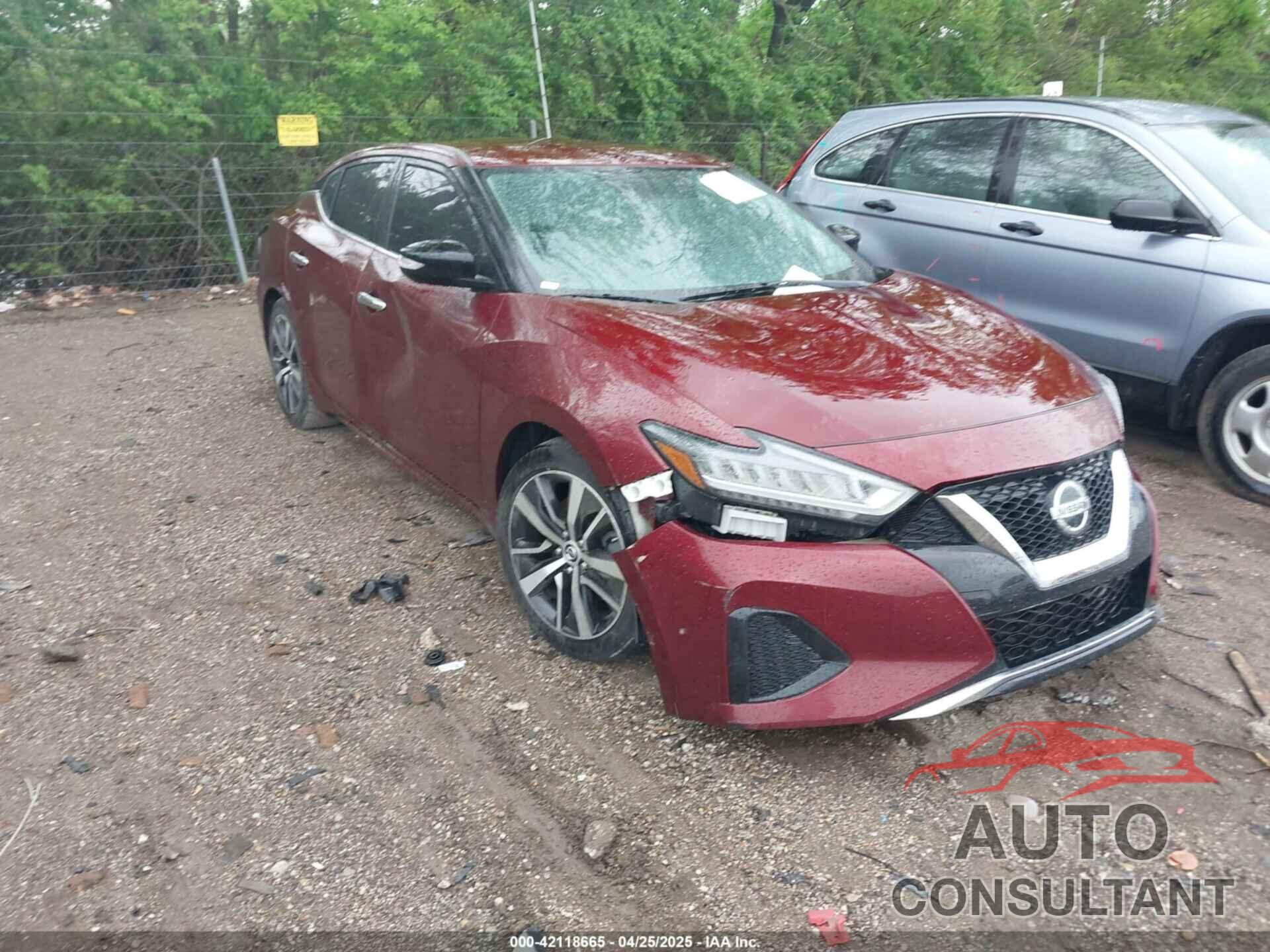 NISSAN MAXIMA 2019 - 1N4AA6AV4KC361687