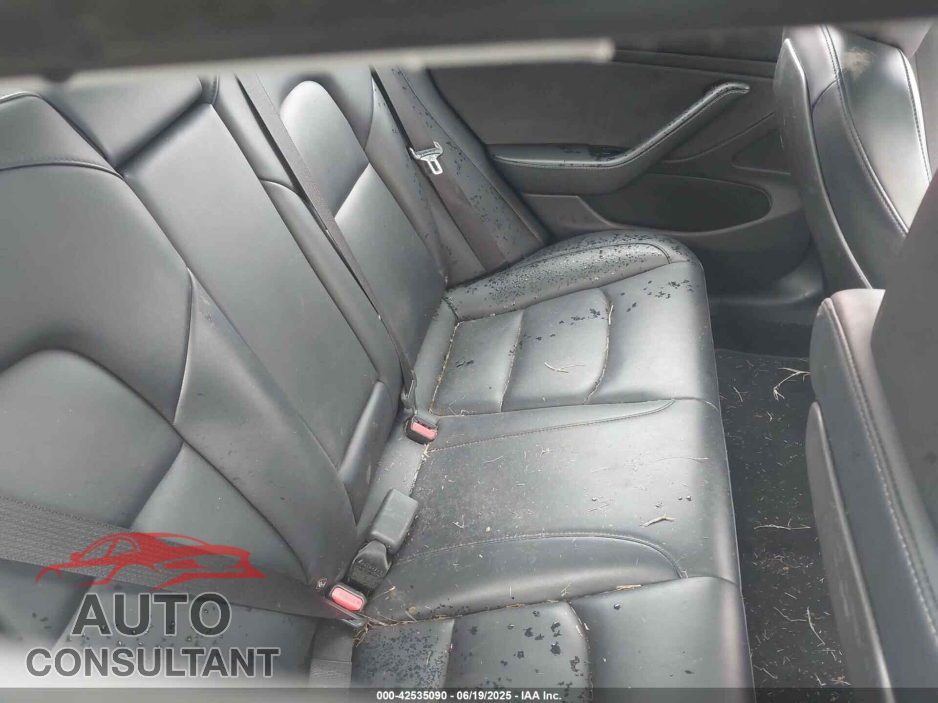 TESLA MODEL 3 2019 - 5YJ3E1EB6KF408280