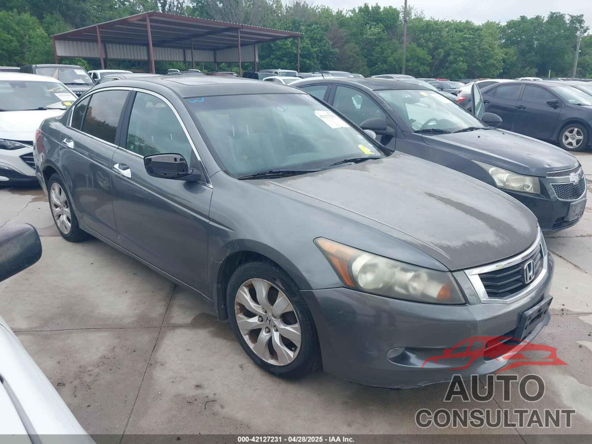 HONDA ACCORD 2010 - 5KBCP3F84AB008923