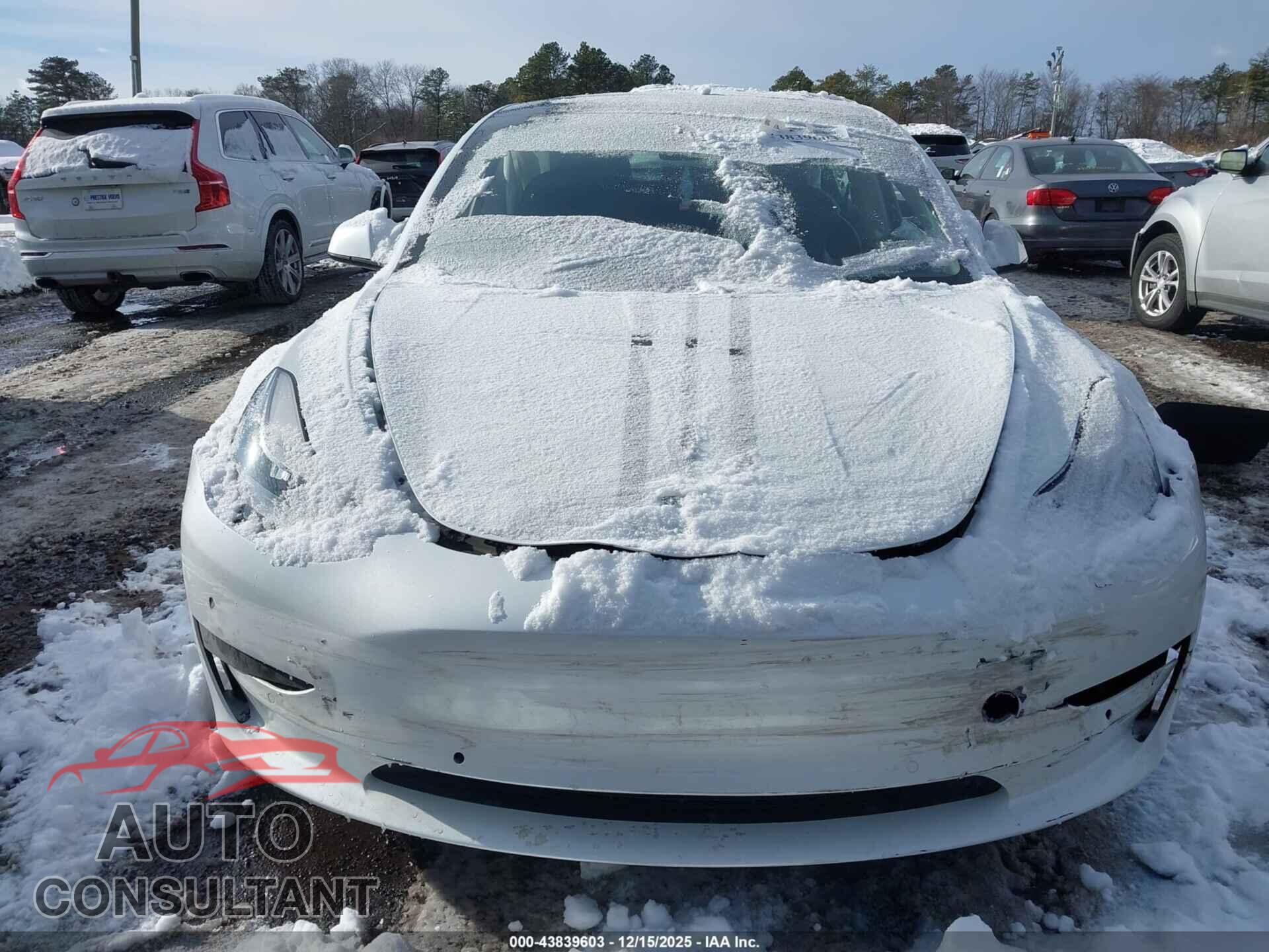 TESLA MODEL 3 2021 - 5YJ3E1EA7MF855078