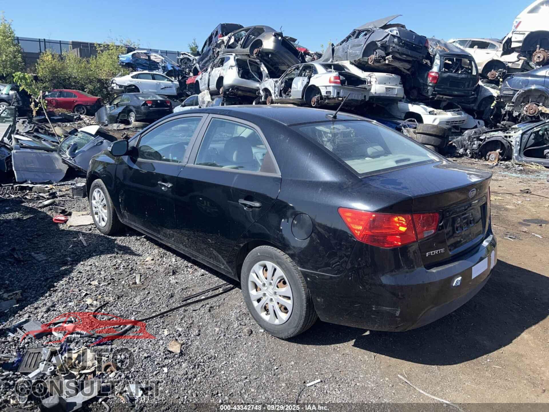 KIA FORTE 2010 - KNAFU4A28A5852698