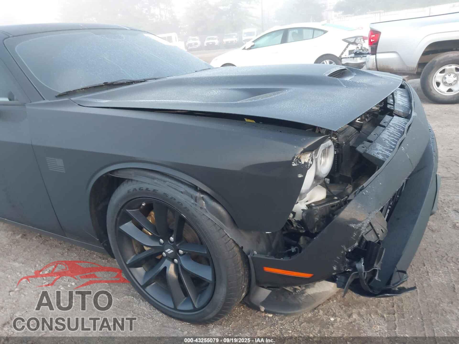 DODGE CHALLENGER 2019 - 2C3CDZFJ6KH717219