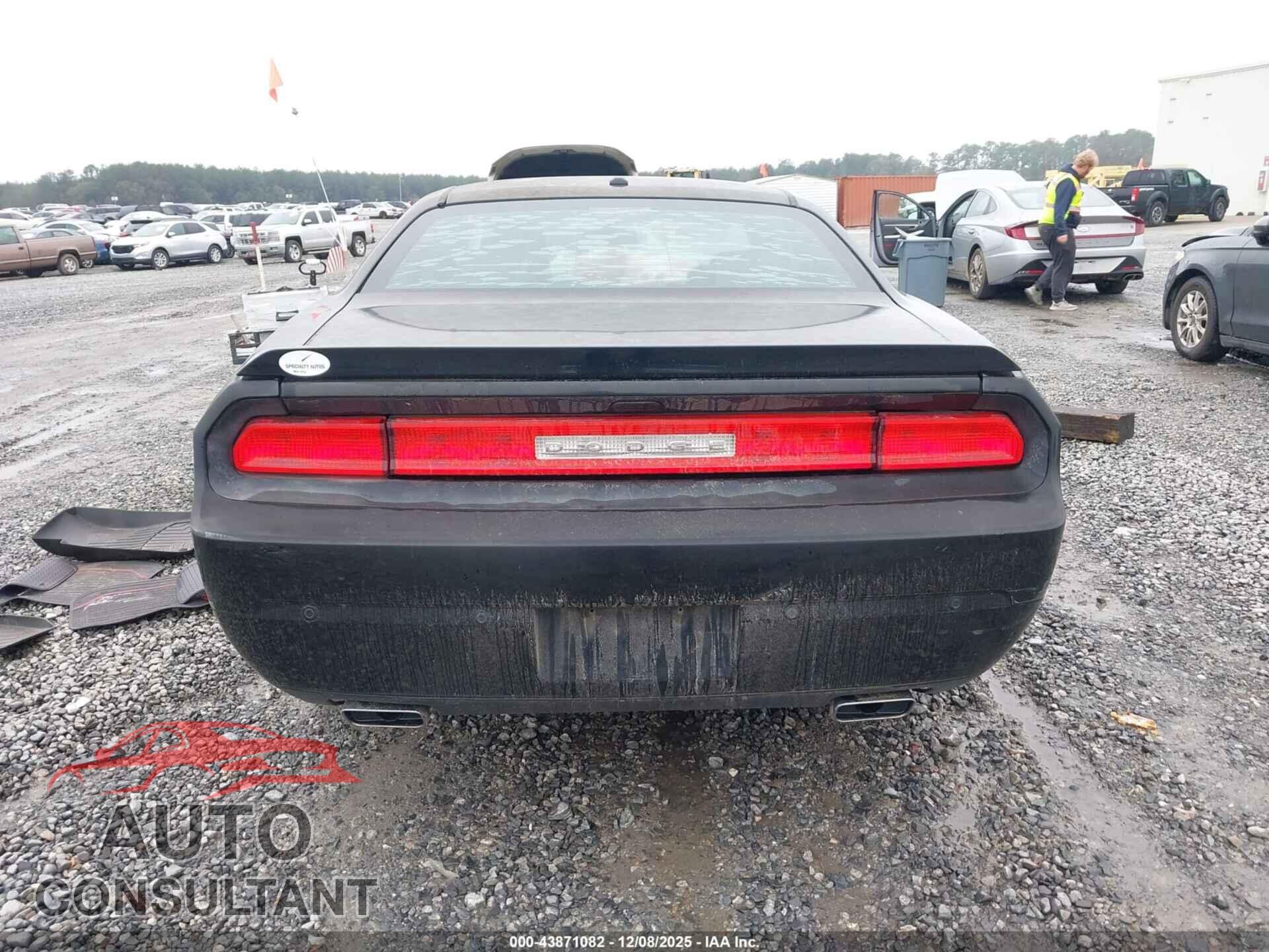 DODGE CHALLENGER 2013 - 2C3CDYAG3DH562153