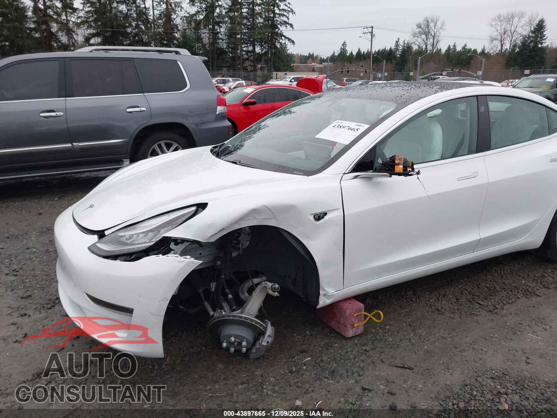 TESLA MODEL 3 2020 - 5YJ3E1EB3LF640563