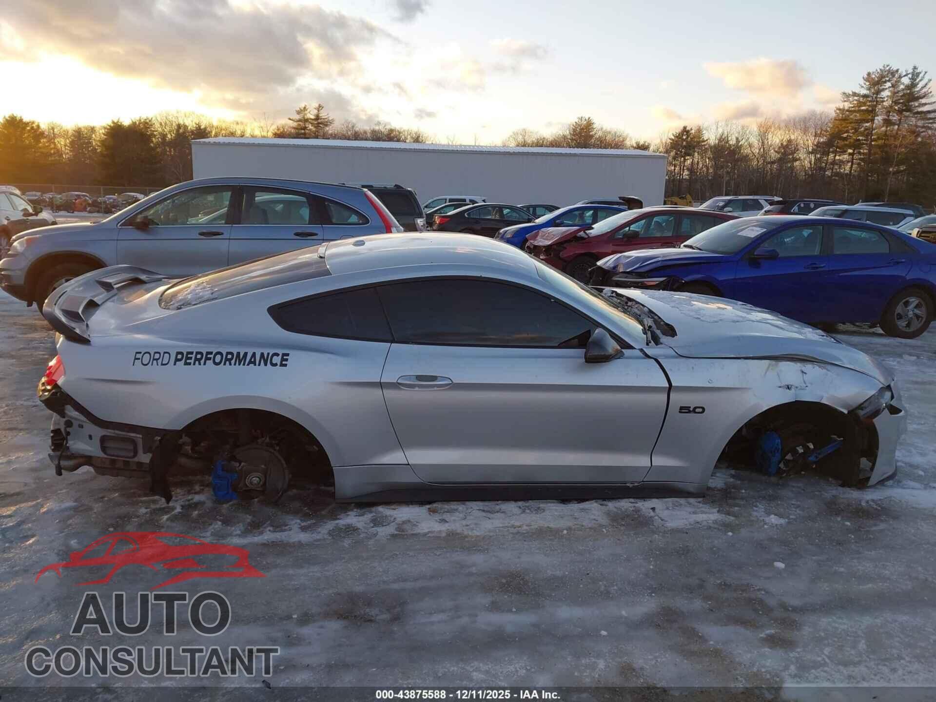 FORD MUSTANG 2019 - 1FA6P8CF7K5163339