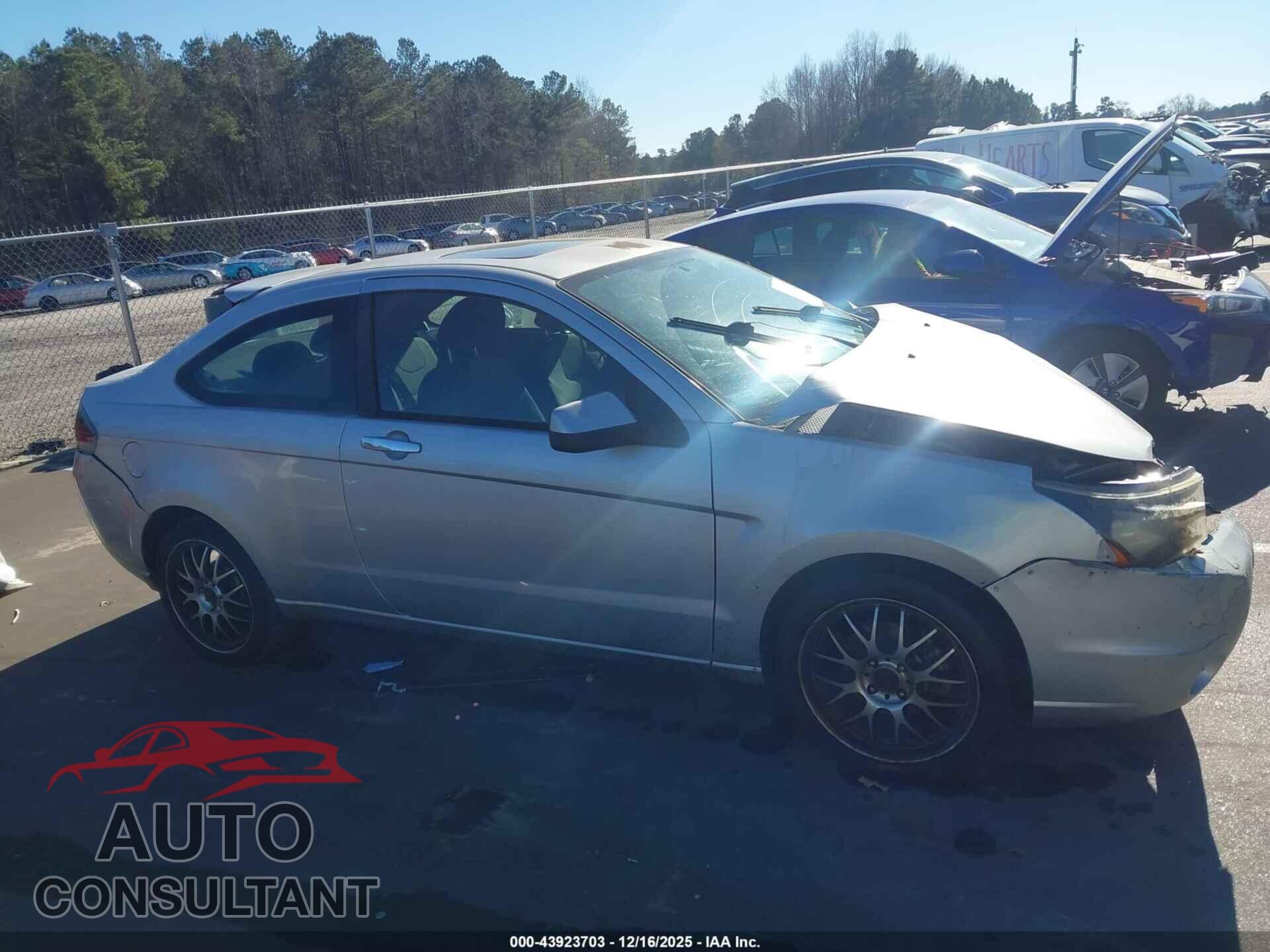 FORD FOCUS 2009 - 1FAHP33N29W202071