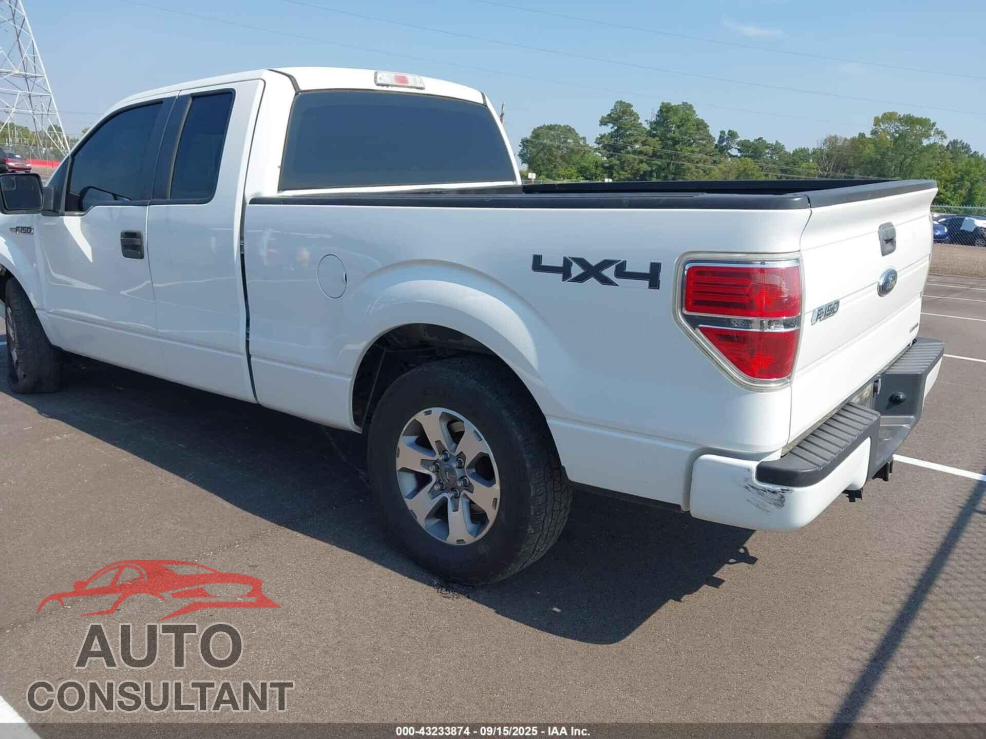FORD F-150 2011 - 1FTFX1EF8BKD13541