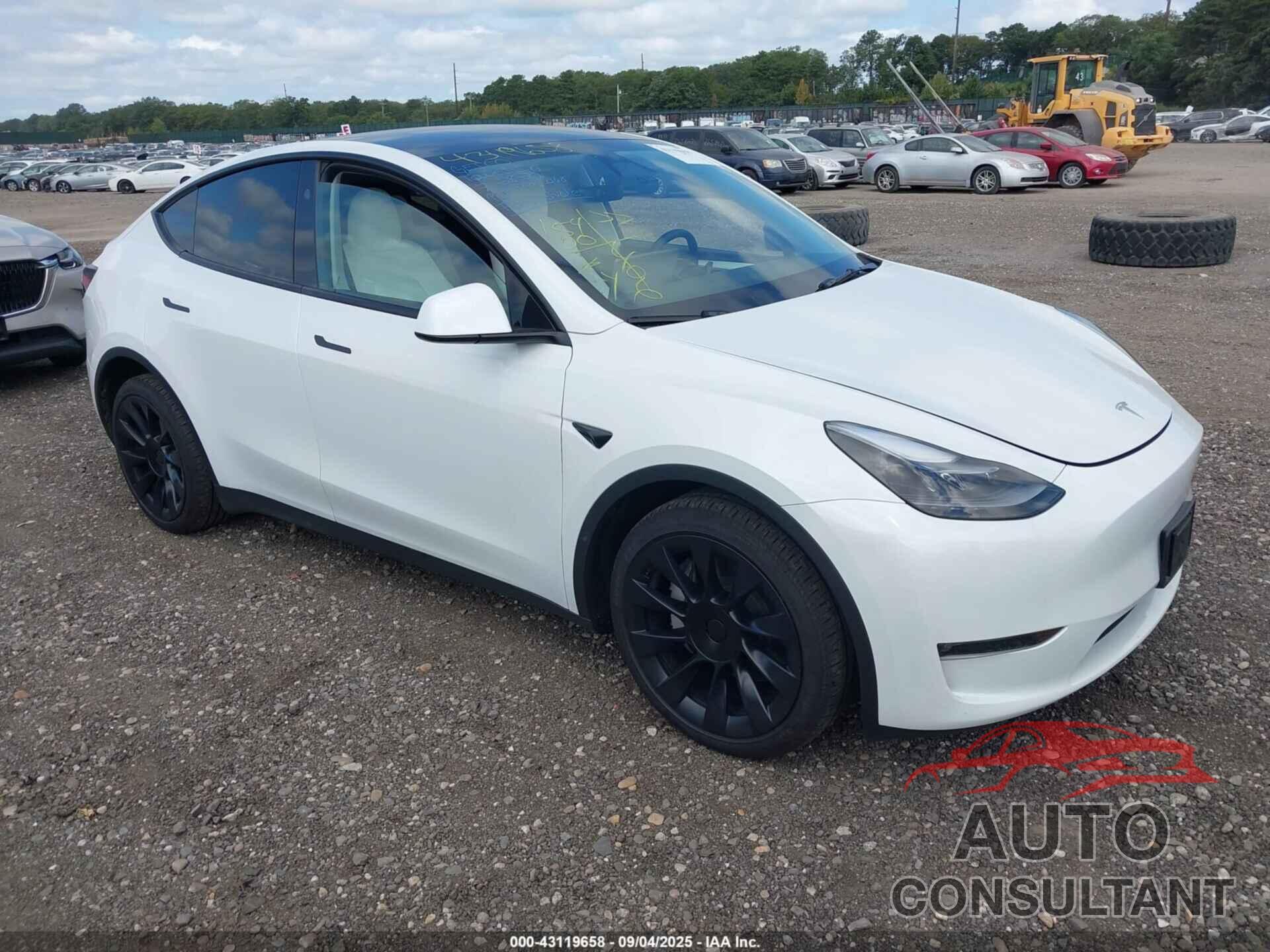 TESLA MODEL Y 2023 - 7SAYGDEE1PF849806