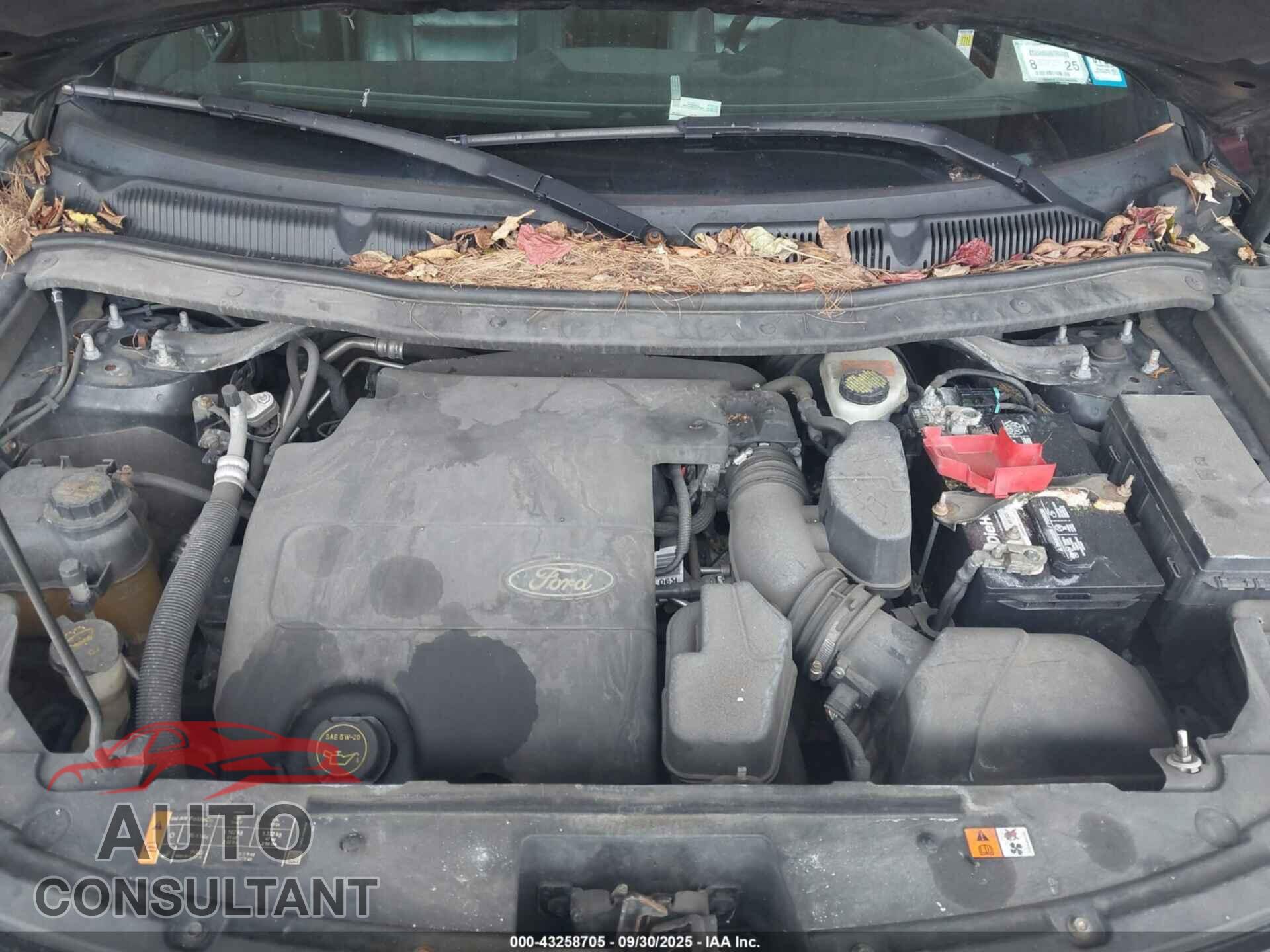 FORD EXPLORER 2013 - 1FM5K8F83DGA75697