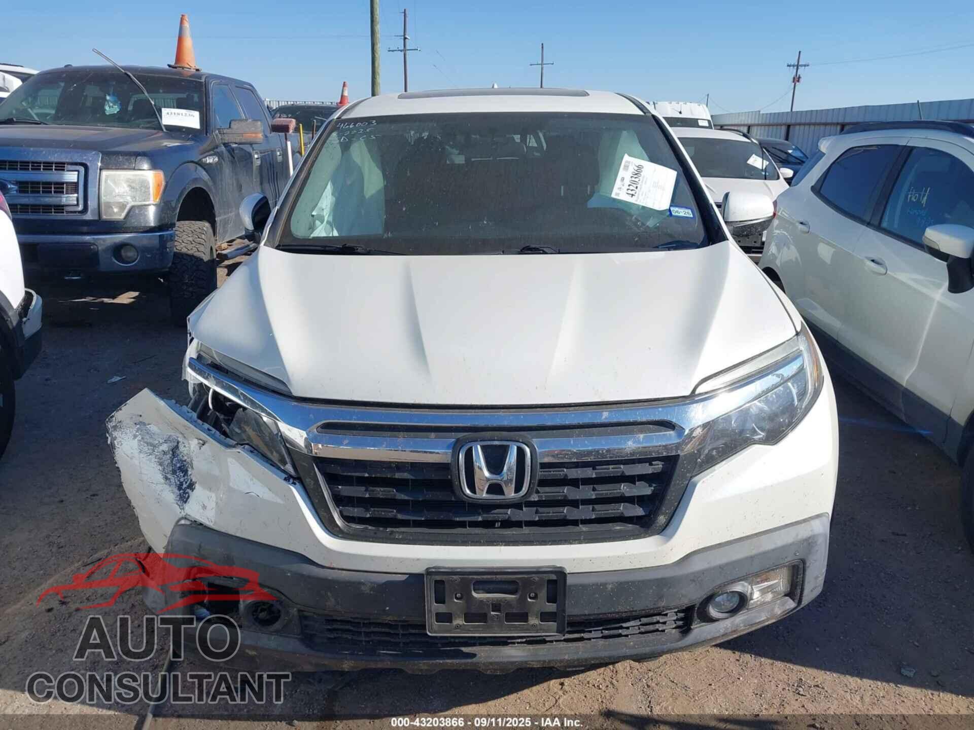 HONDA RIDGELINE 2019 - 5FPYK2F52KB004431