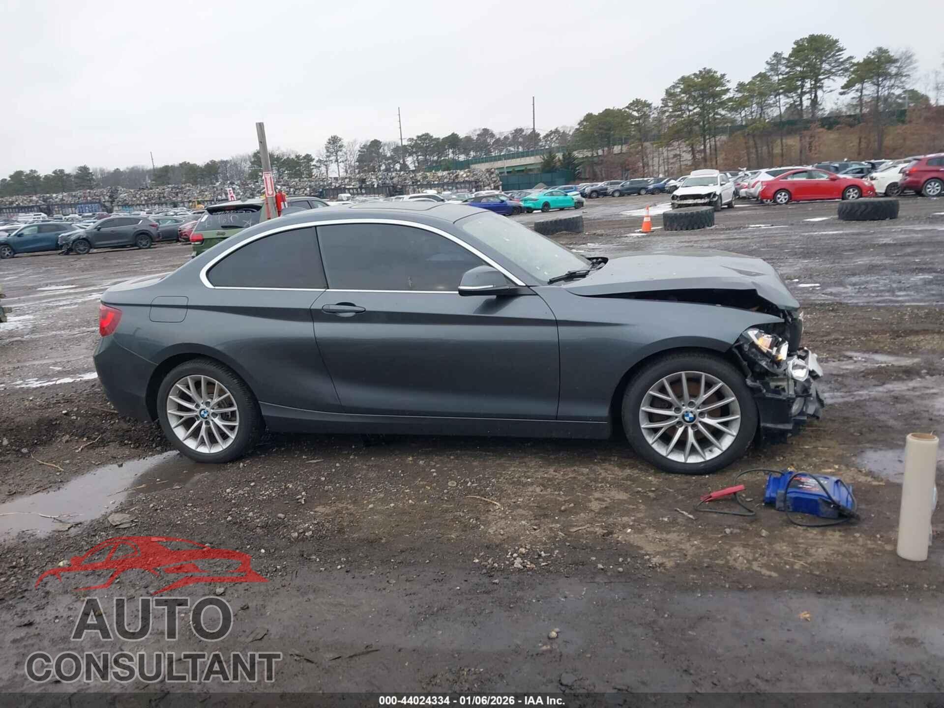 BMW 228I 2015 - WBA1F7C53FVX96206