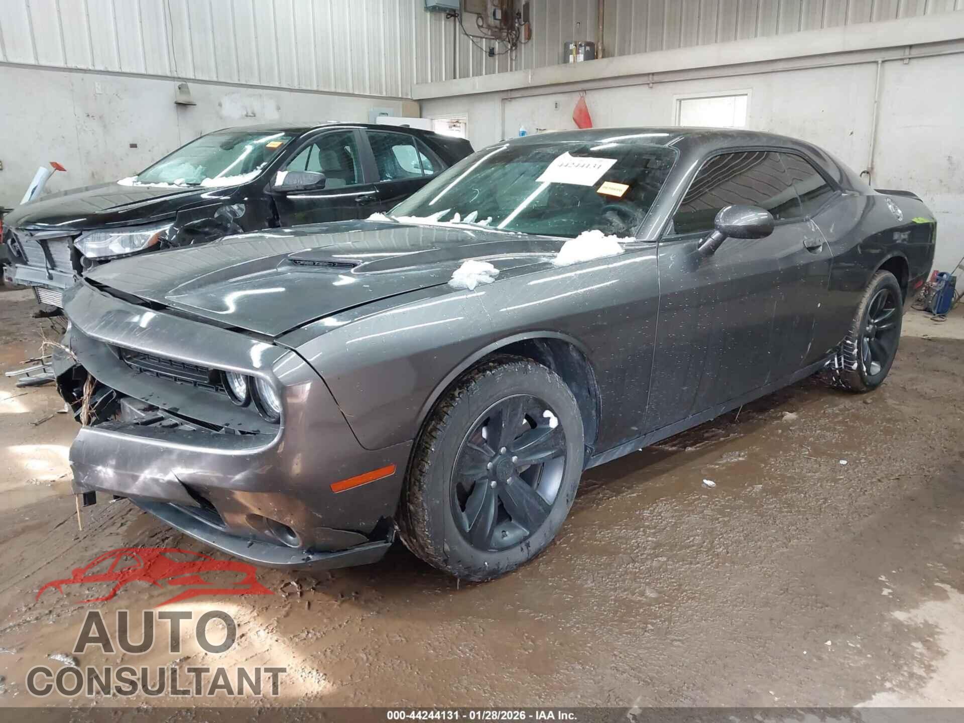 DODGE CHALLENGER 2019 - 2C3CDZAG4KH616322