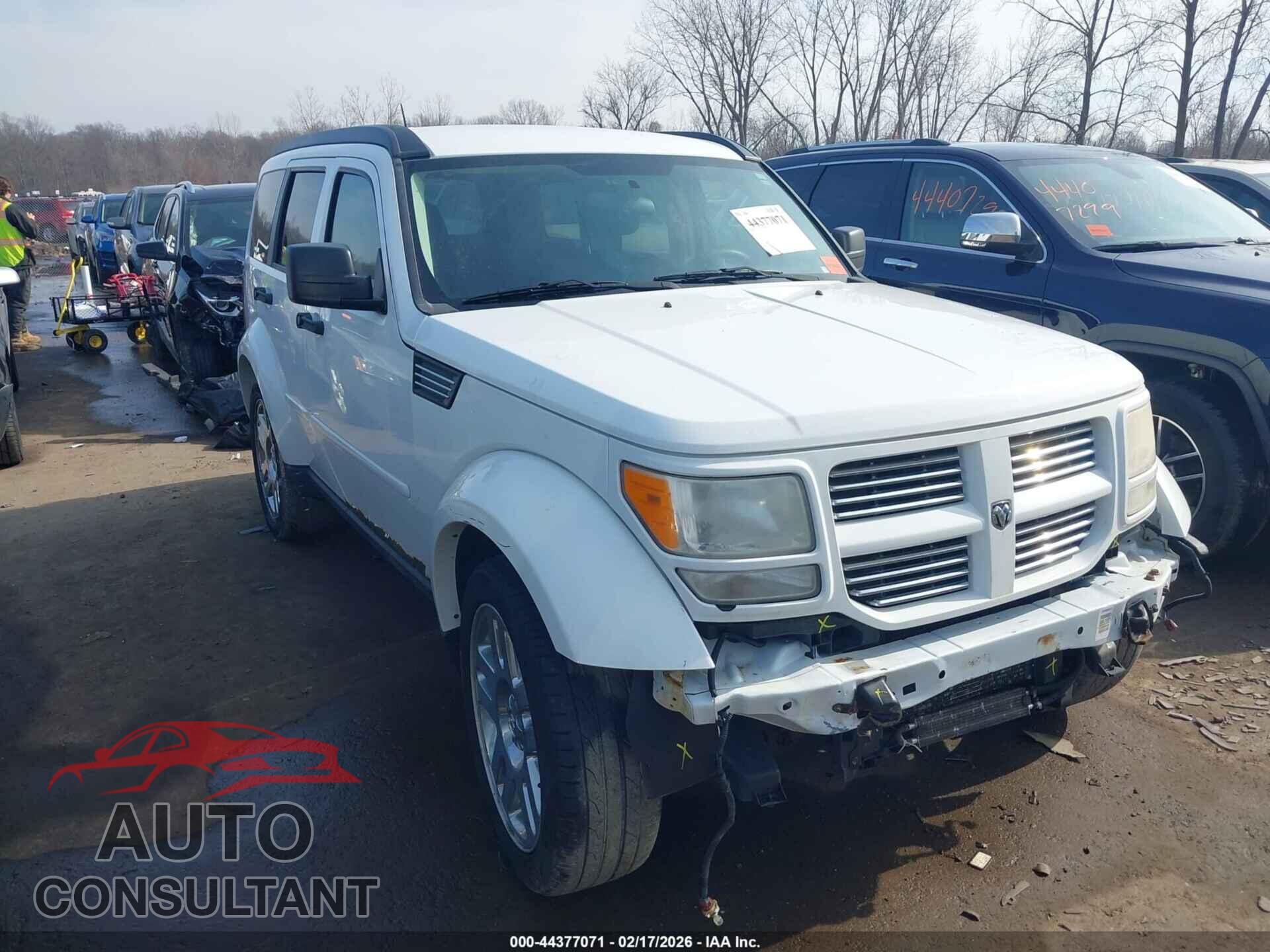 DODGE NITRO 2011 - 1D4PU4GK7BW590475