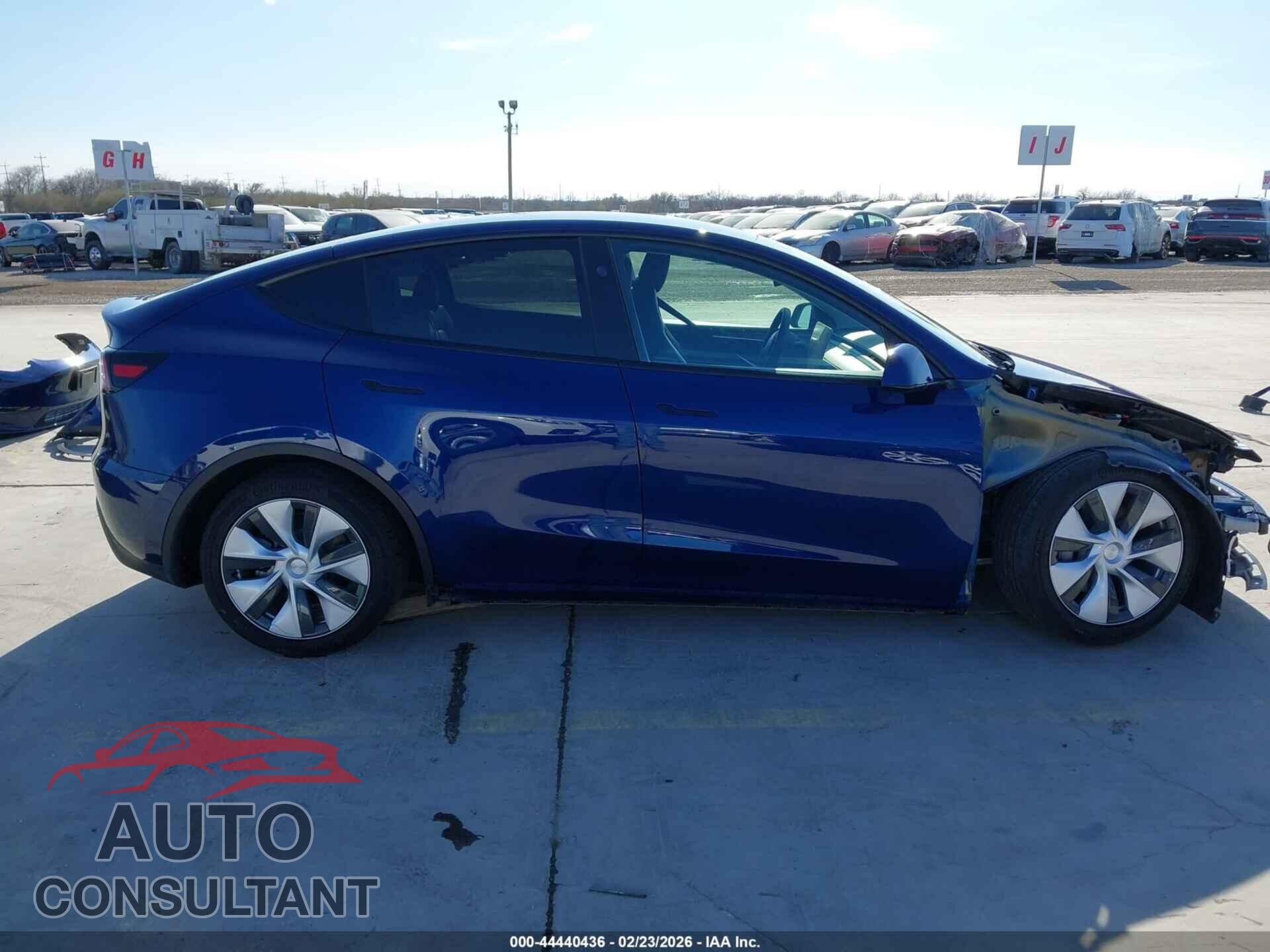 TESLA MODEL Y 2024 - 7SAYGDED9RF044081