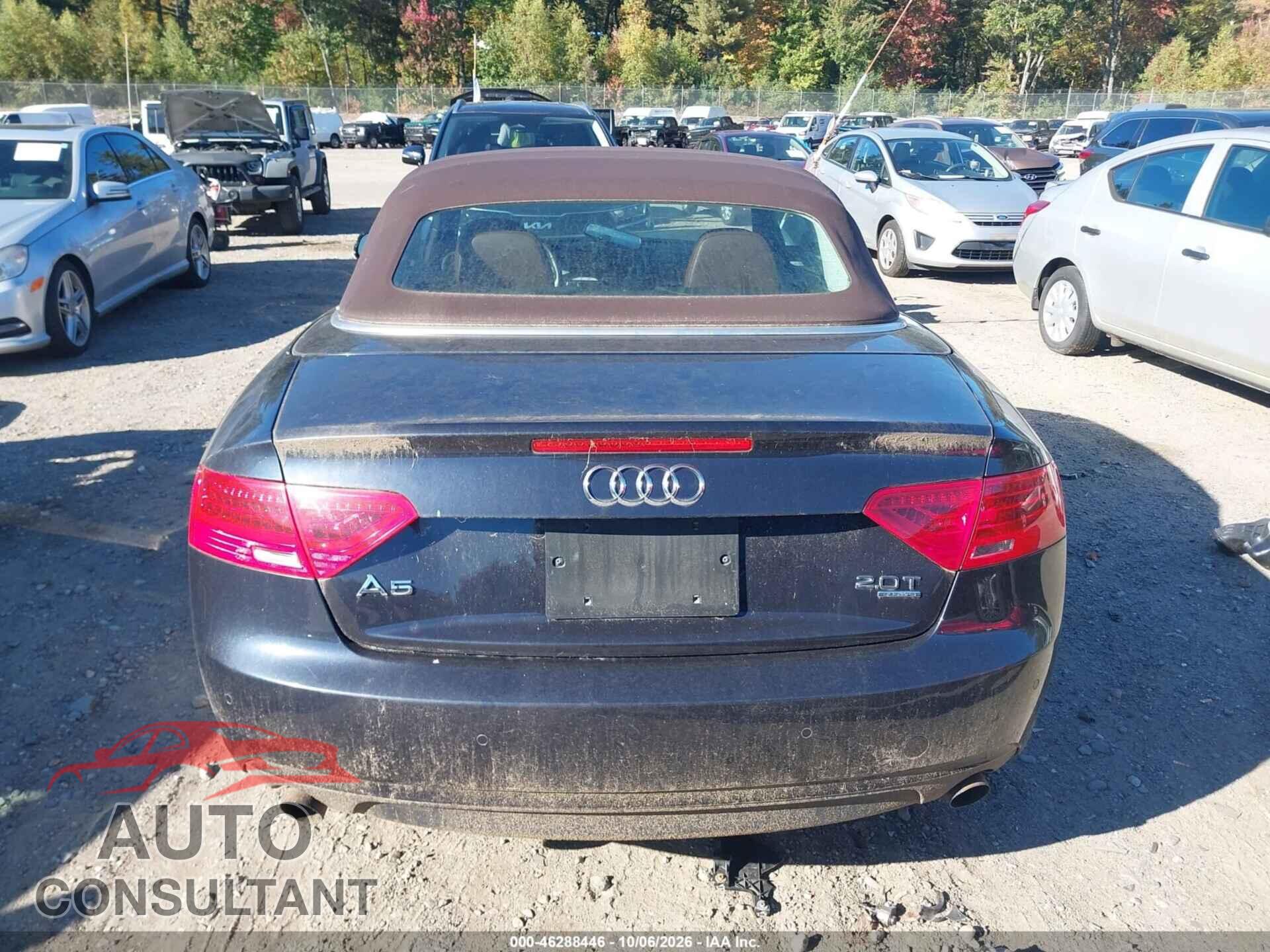 AUDI A5 2013 - WAULFAFH1DN010699