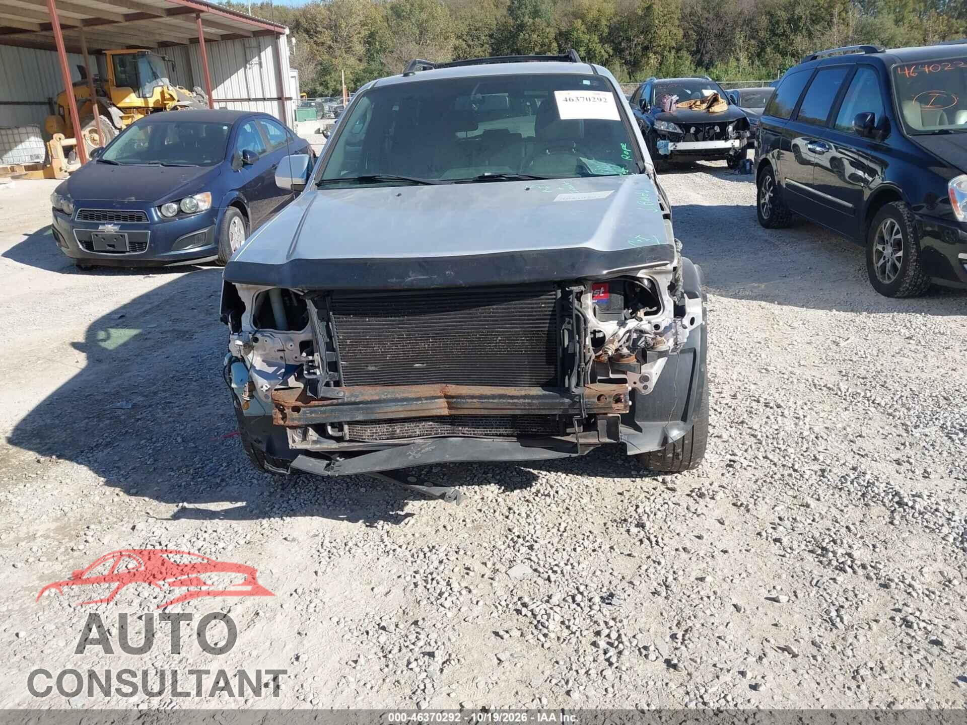 FORD ESCAPE 2010 - 1FMCU0EG9AKB81429