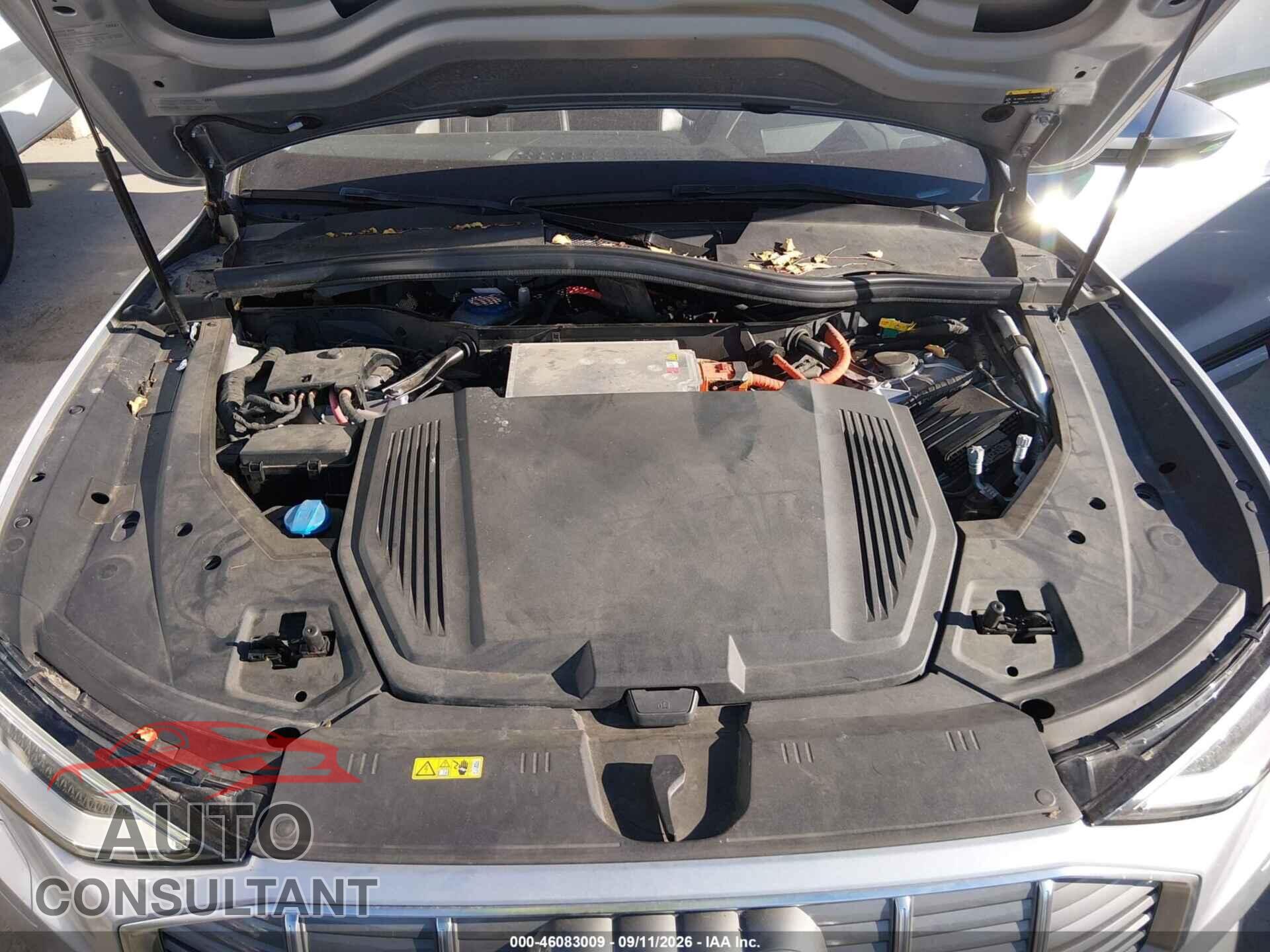 AUDI E-TRON 2019 - WA1VAAGE8KB022596