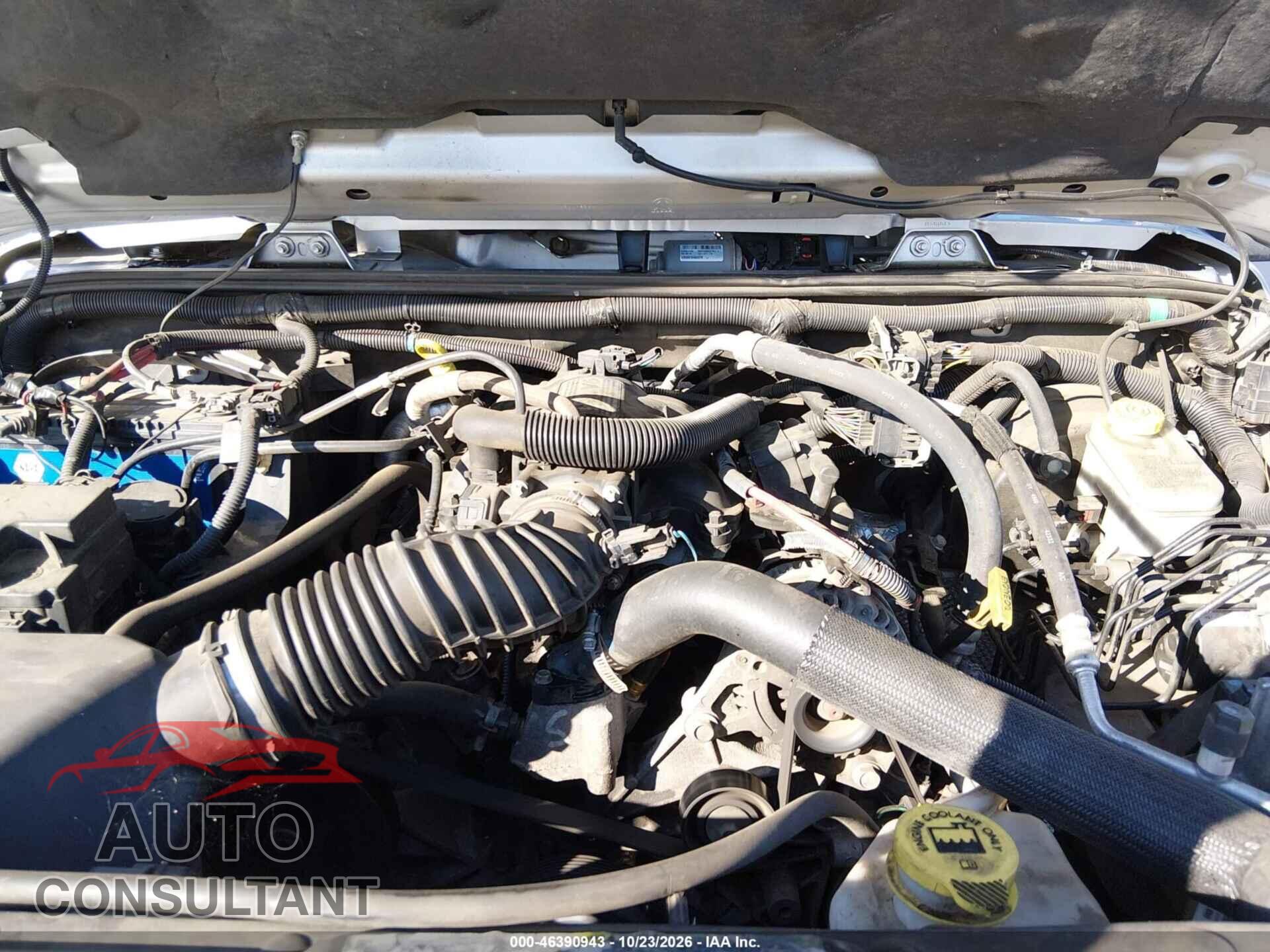 JEEP WRANGLER 2011 - 1J4AA5D16BL538456