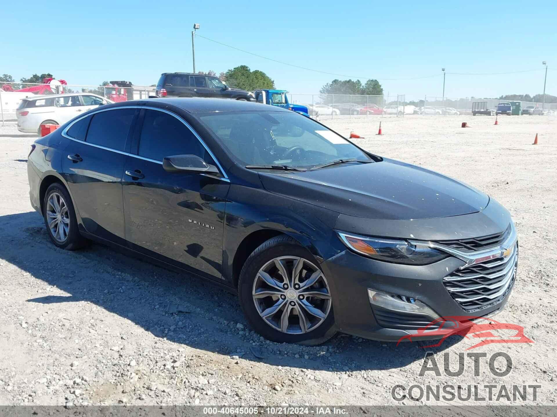 CHEVROLET MALIBU 2019 - 1G1ZD5ST3KF162083