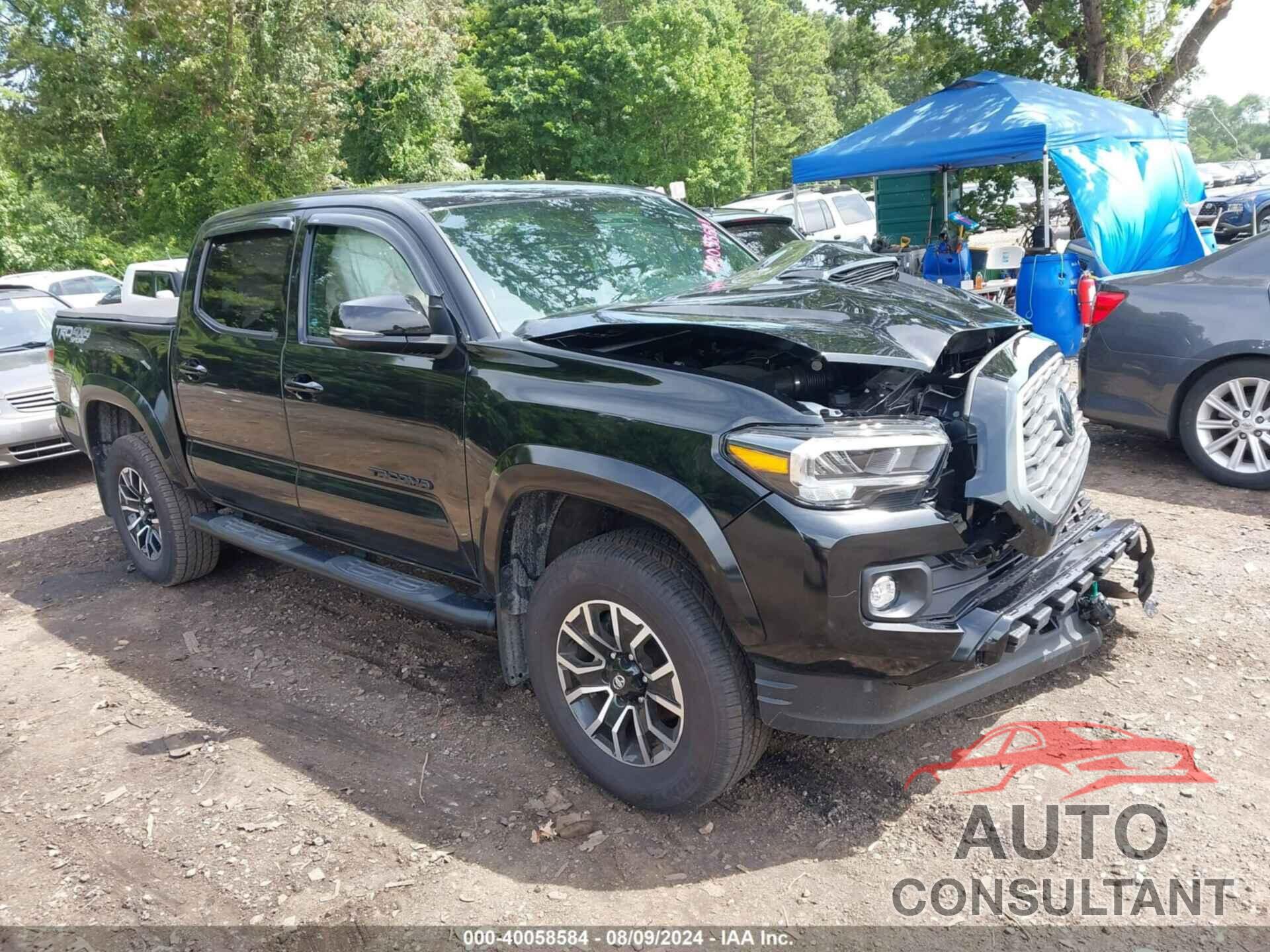 TOYOTA TACOMA 2023 - 3TMCZ5AN6PM648394