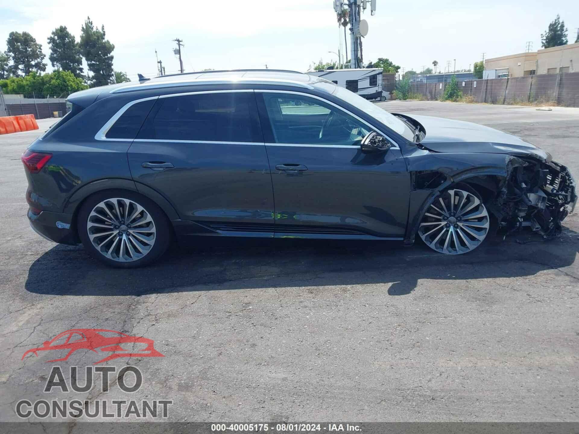 AUDI E-TRON 2019 - WA1VAAGEXKB010420