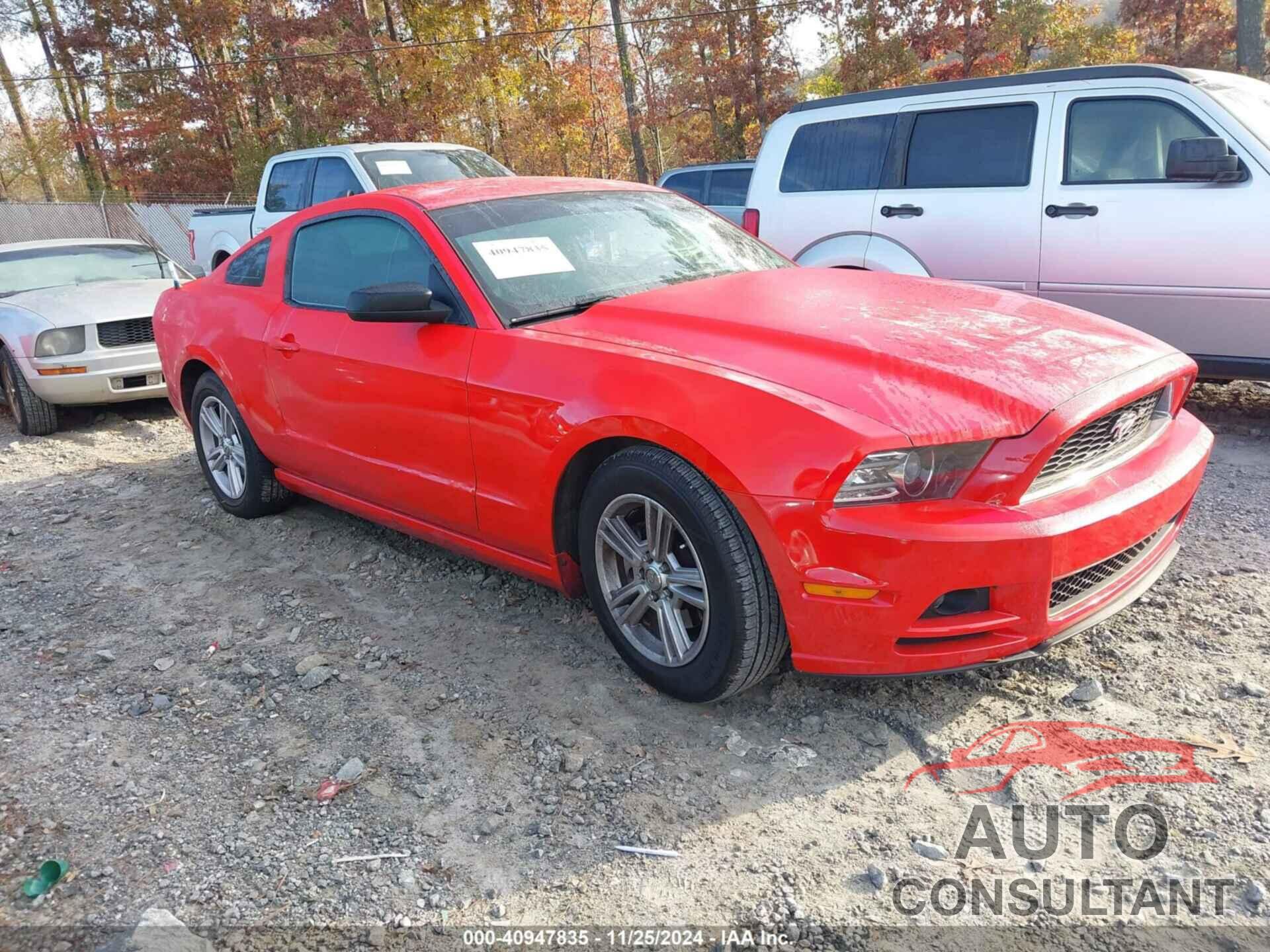 FORD MUSTANG 2014 - 1ZVBP8AM6E5280003