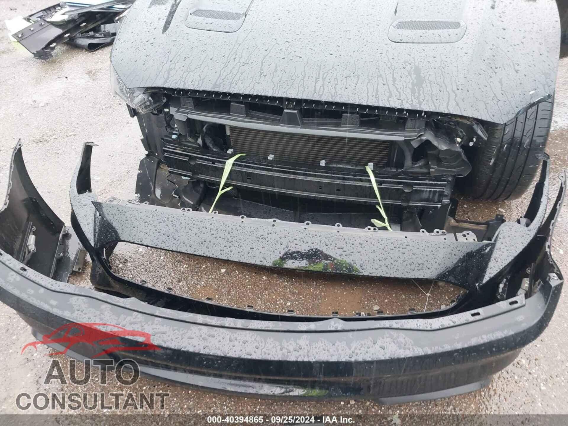 FORD MUSTANG 2019 - 1FA6P8CF4K5102000