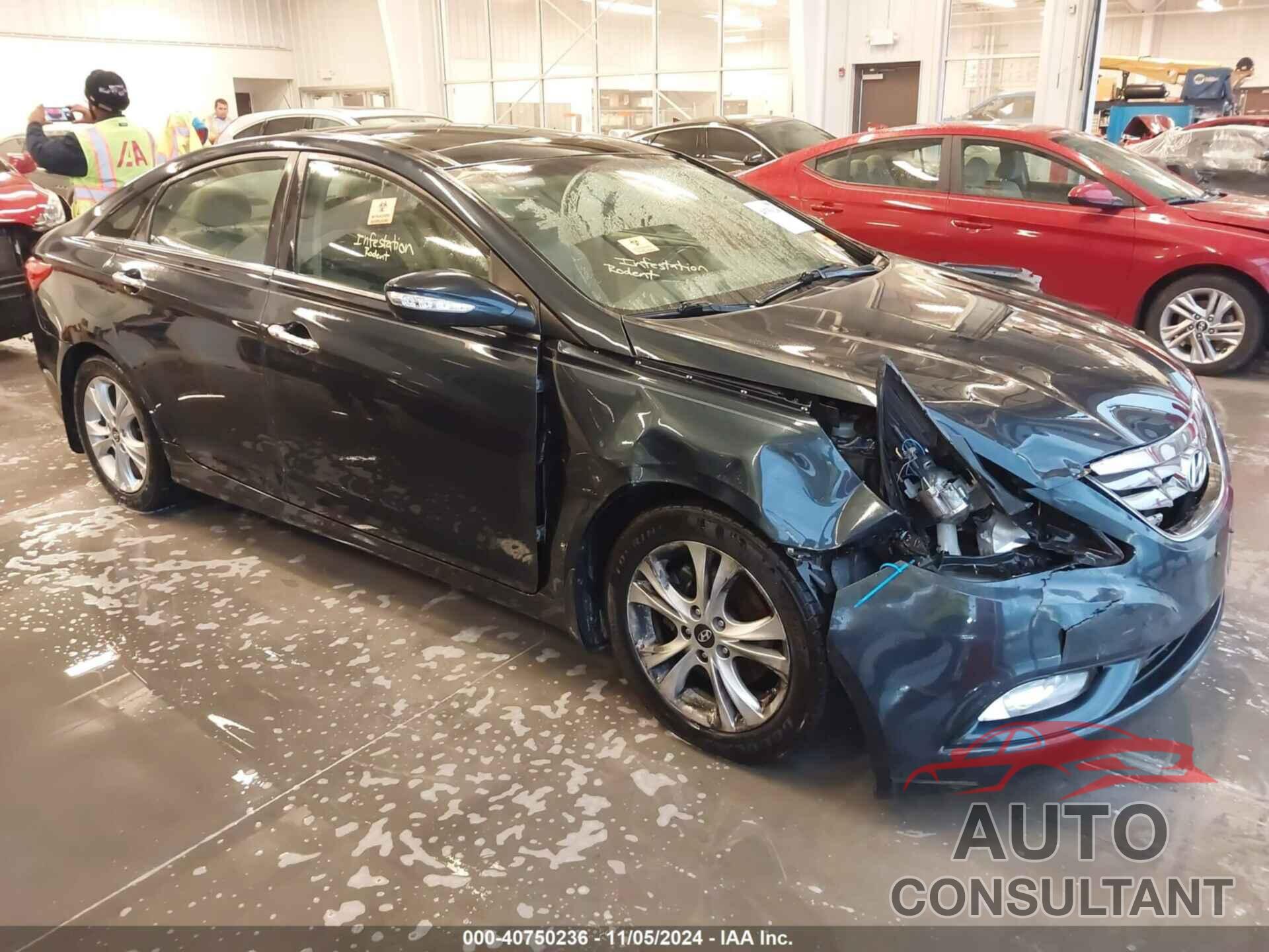 HYUNDAI SONATA 2013 - 5NPEC4AC3DH634408