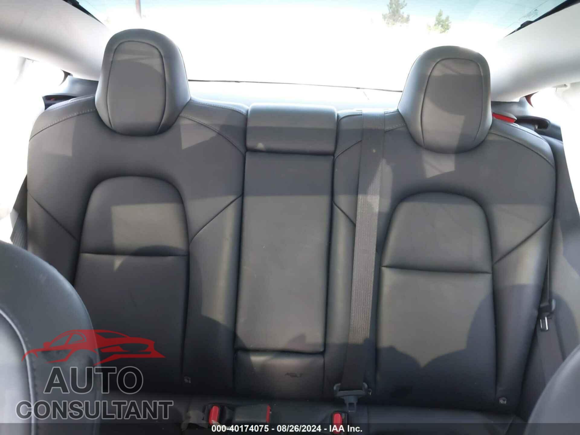 TESLA MODEL 3 2021 - 5YJ3E1EA7MF921323