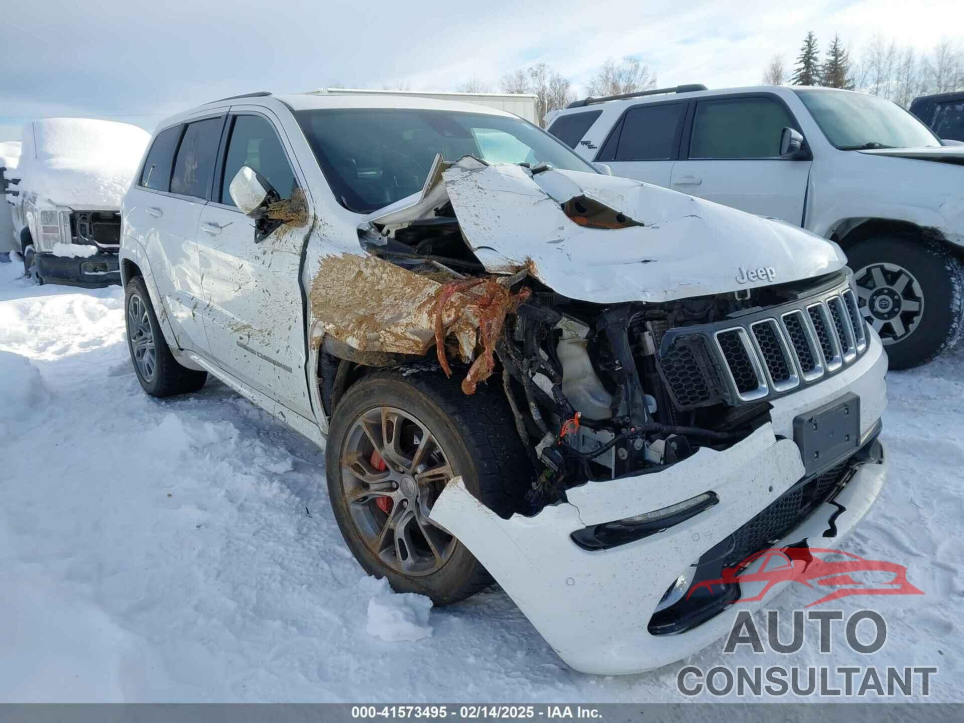 JEEP GRAND CHEROKEE 2014 - 1C4RJFDJ8EC487996