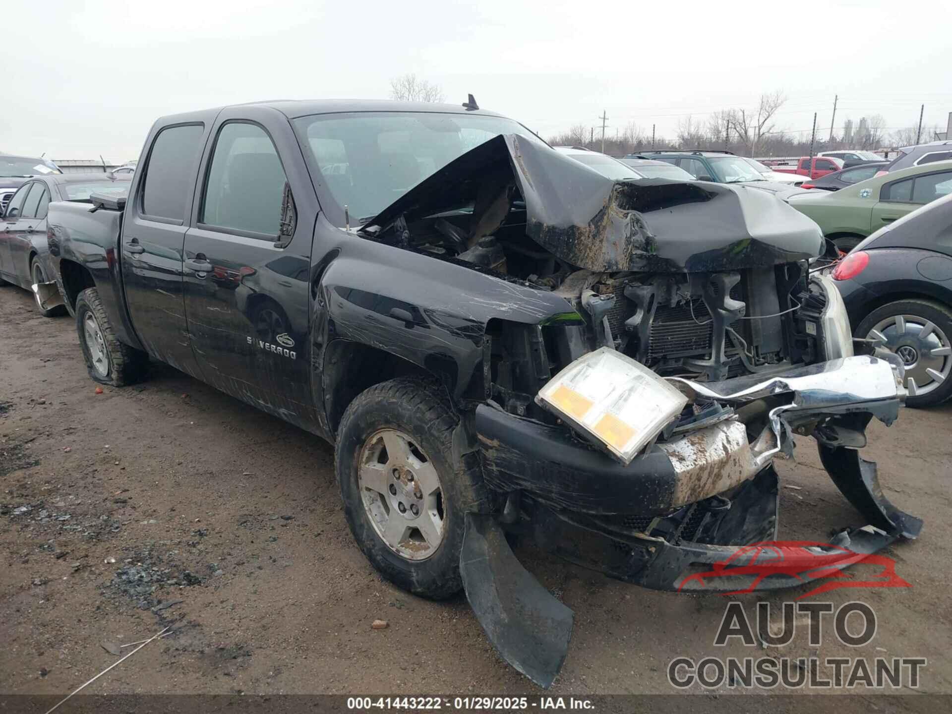 CHEVROLET SILVERADO 1500 2010 - 3GCRKSE3XAG290499