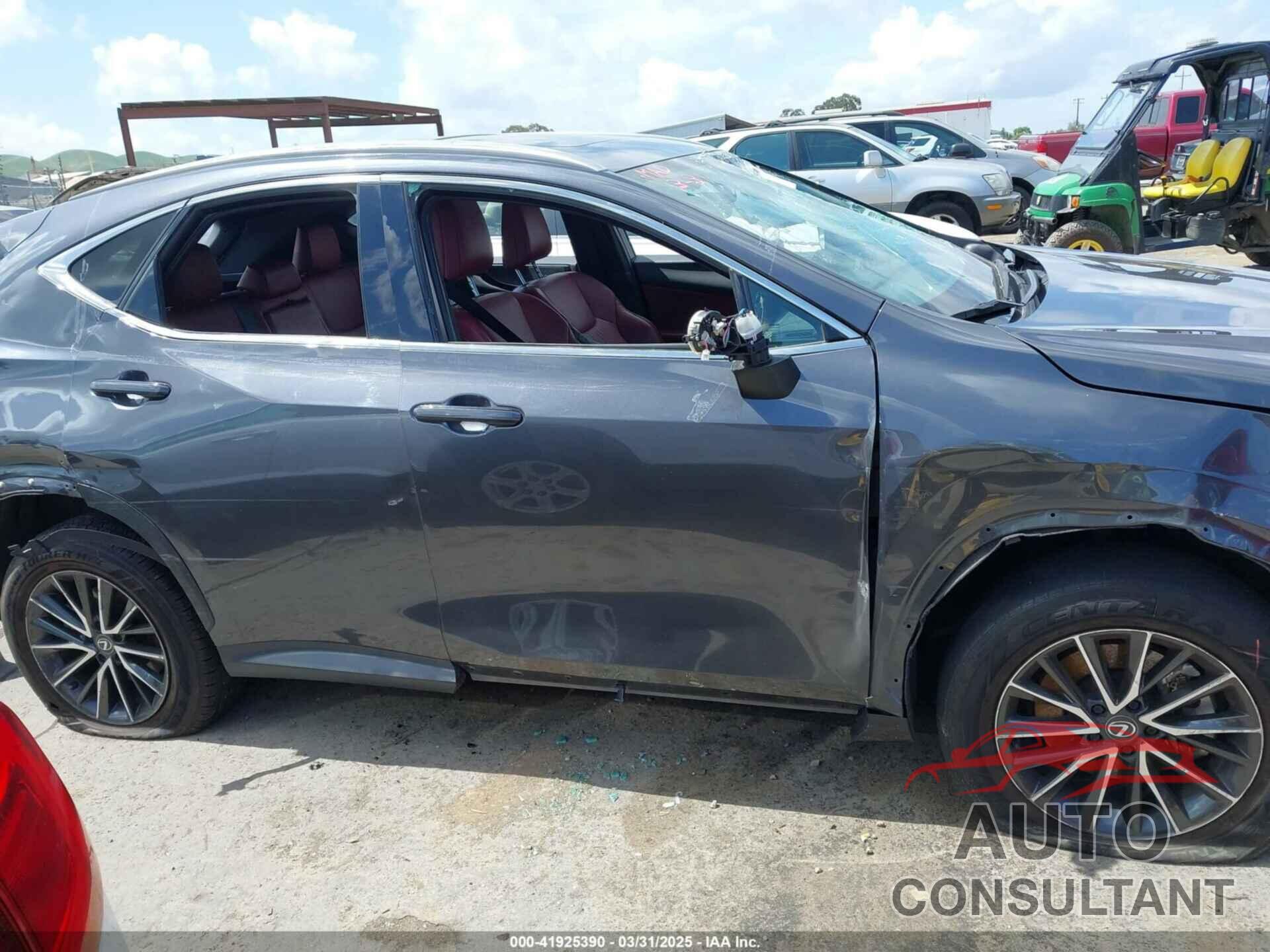 LEXUS NX 250 2024 - 2T2GDCAZ4RC006643