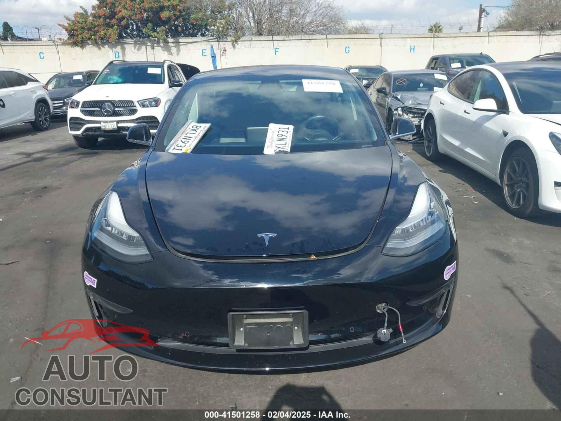 TESLA MODEL 3 2019 - 5YJ3E1EA6KF314259