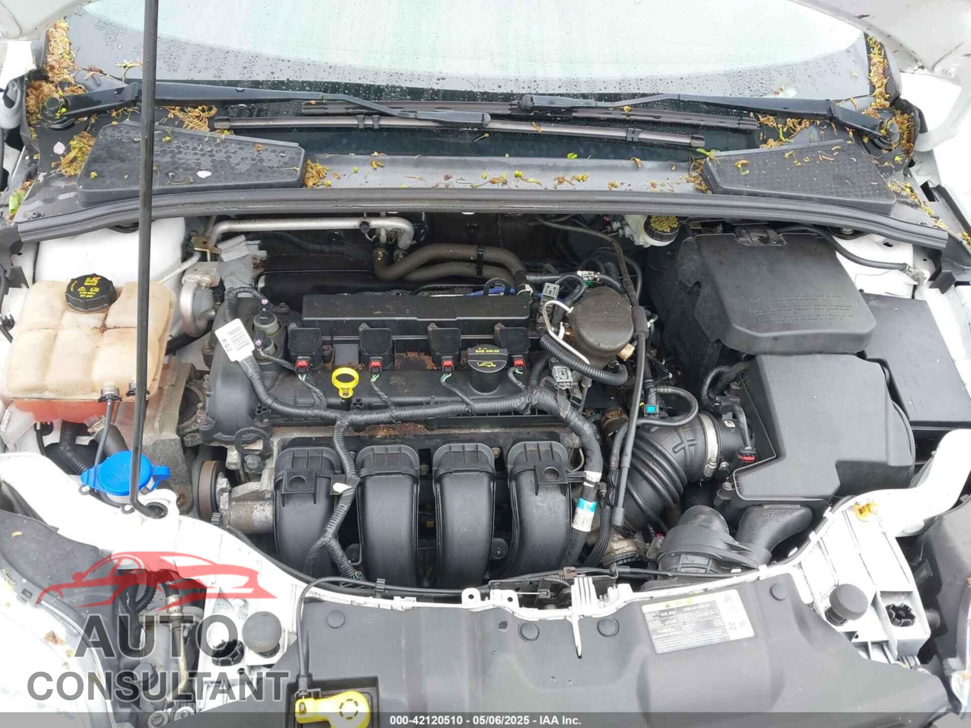 FORD FOCUS 2014 - 1FADP3F27EL242982