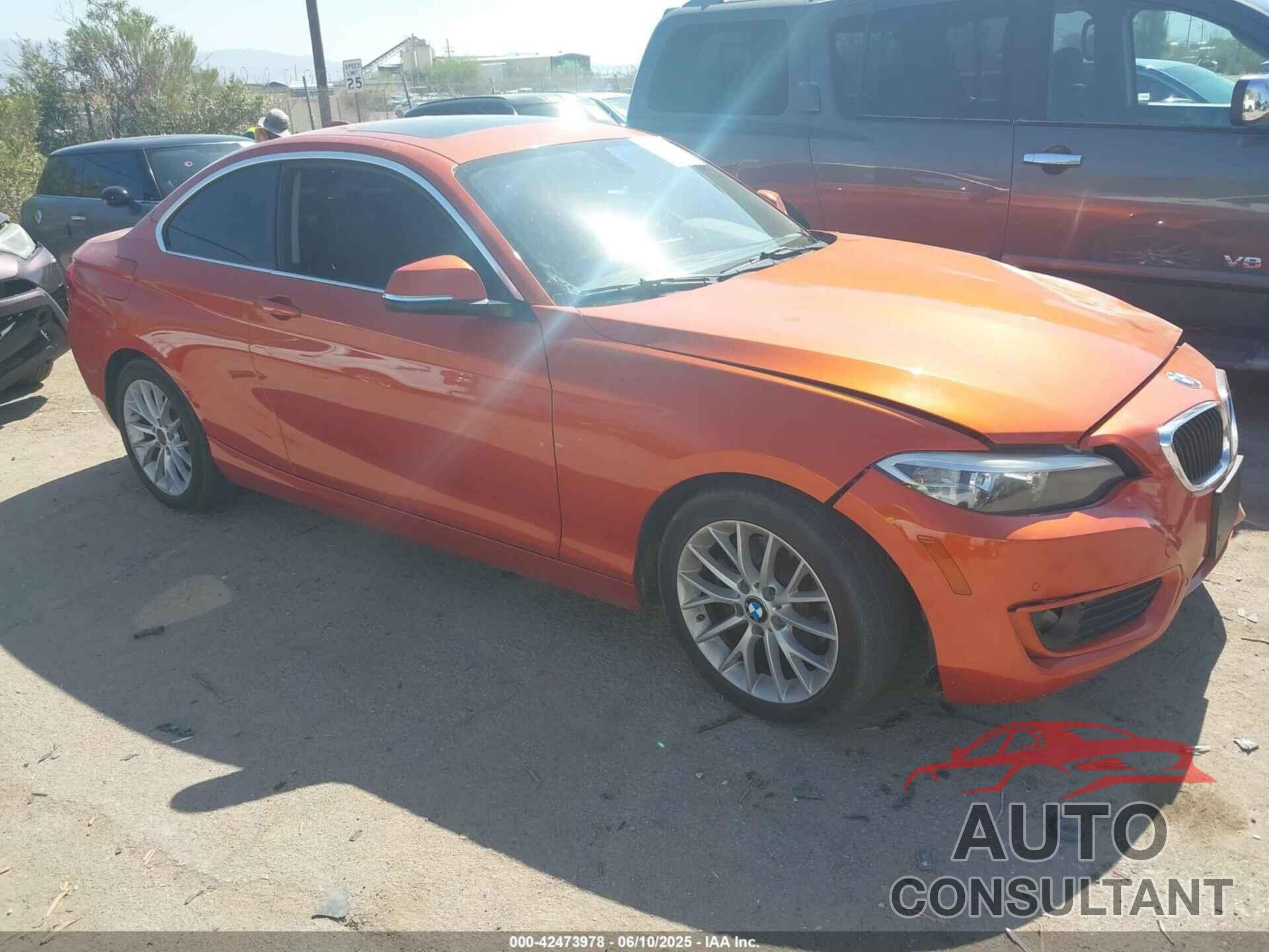 BMW 228I 2015 - WBA1F5C55FV257025