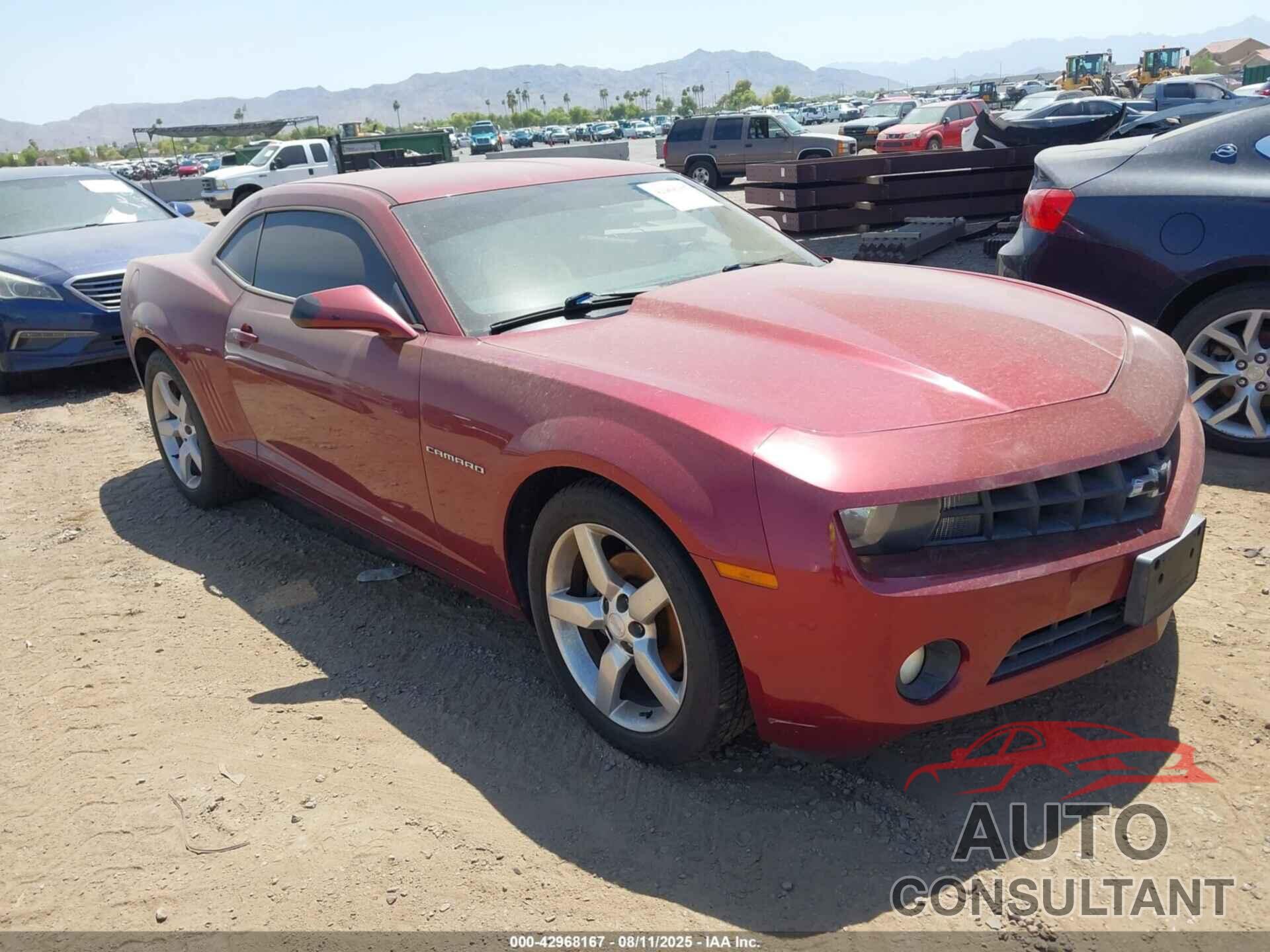 CHEVROLET CAMARO 2010 - 2G1FB1EV9A9170212