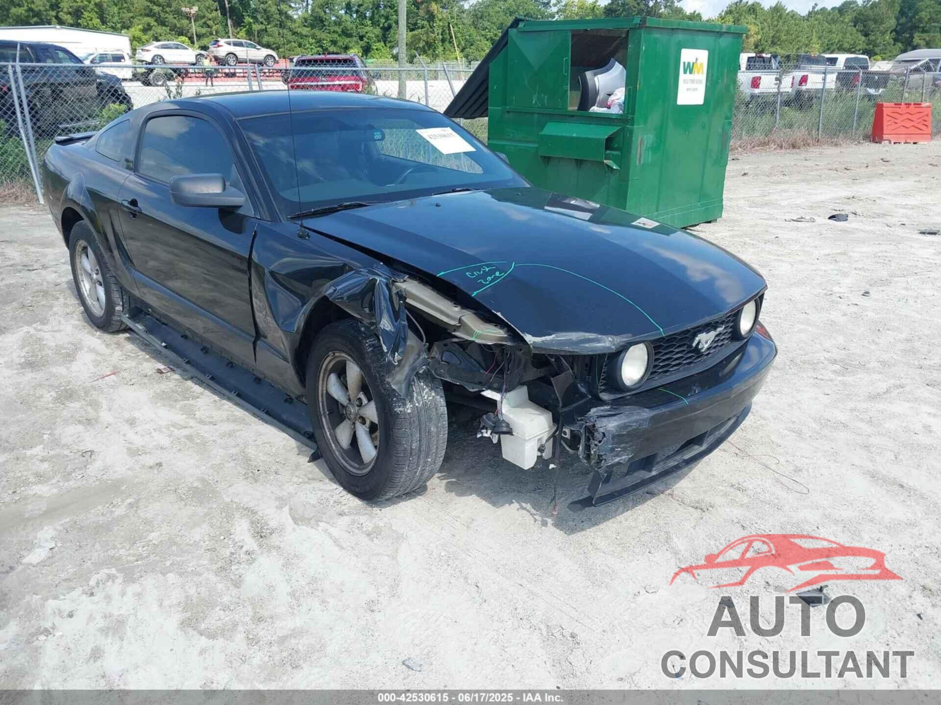 FORD MUSTANG 2009 - 1ZVHT80NX95137108