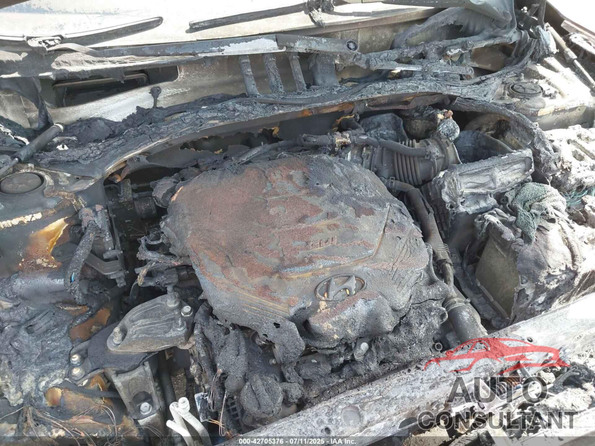 HYUNDAI PALISADE 2020 - KM8R24HE5LU143625