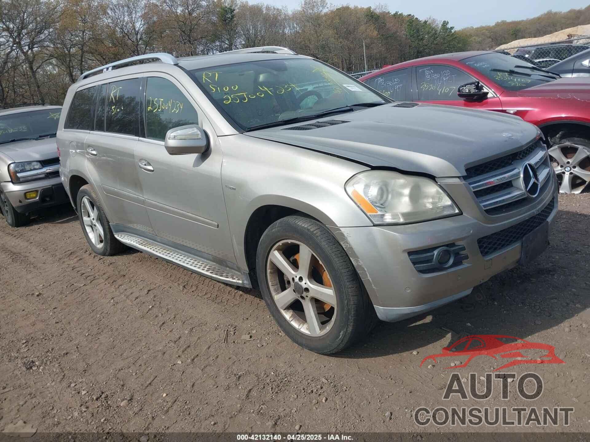 MERCEDES-BENZ GL 320 BLUETEC 2009 - 4JGBF25E89A491931