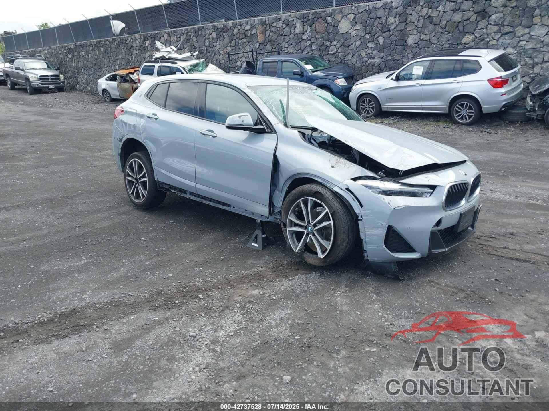BMW X2 2023 - WBXYJ1C09P5V36754