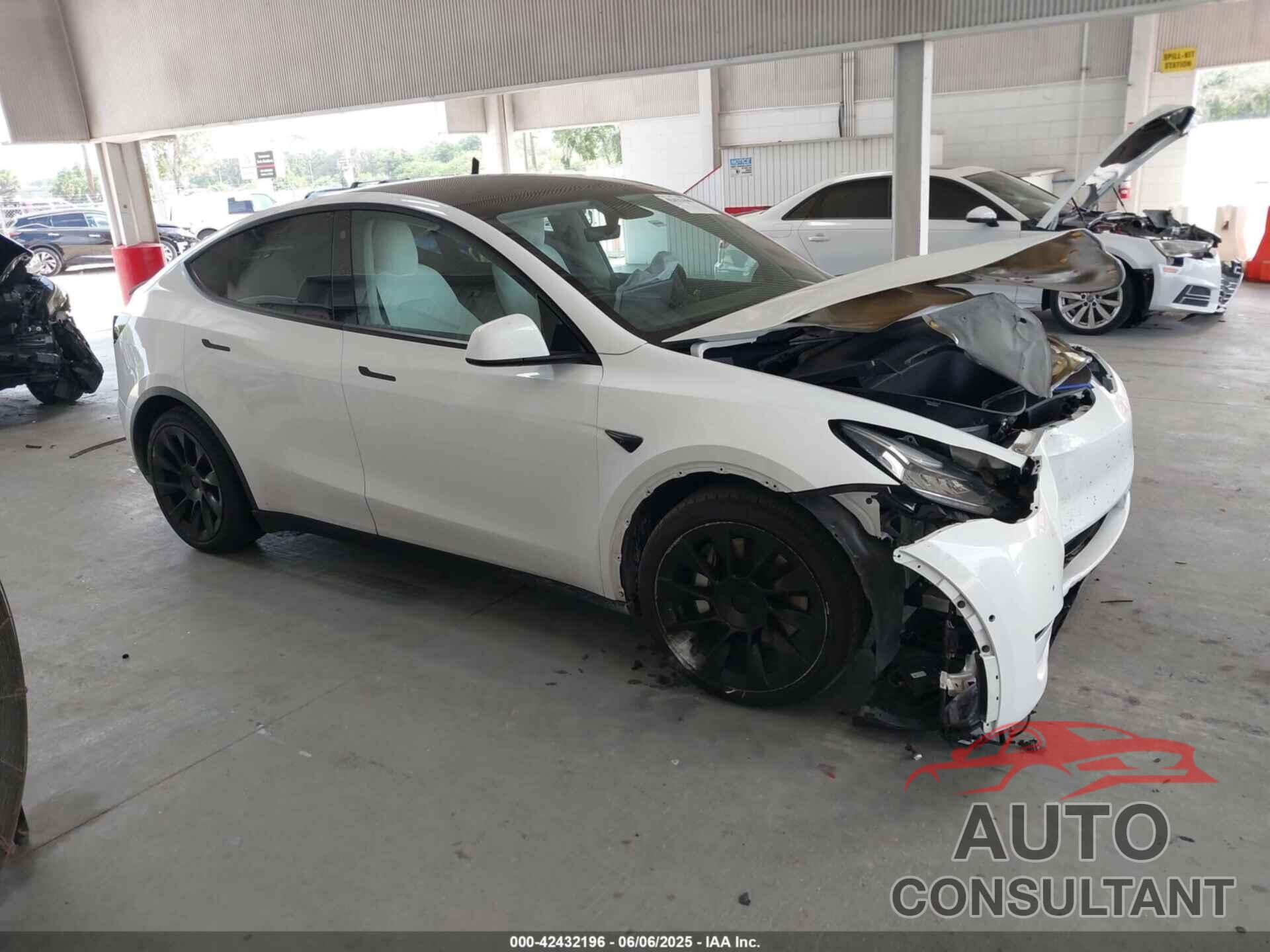TESLA MODEL Y 2021 - 5YJYGDEE5MF119695