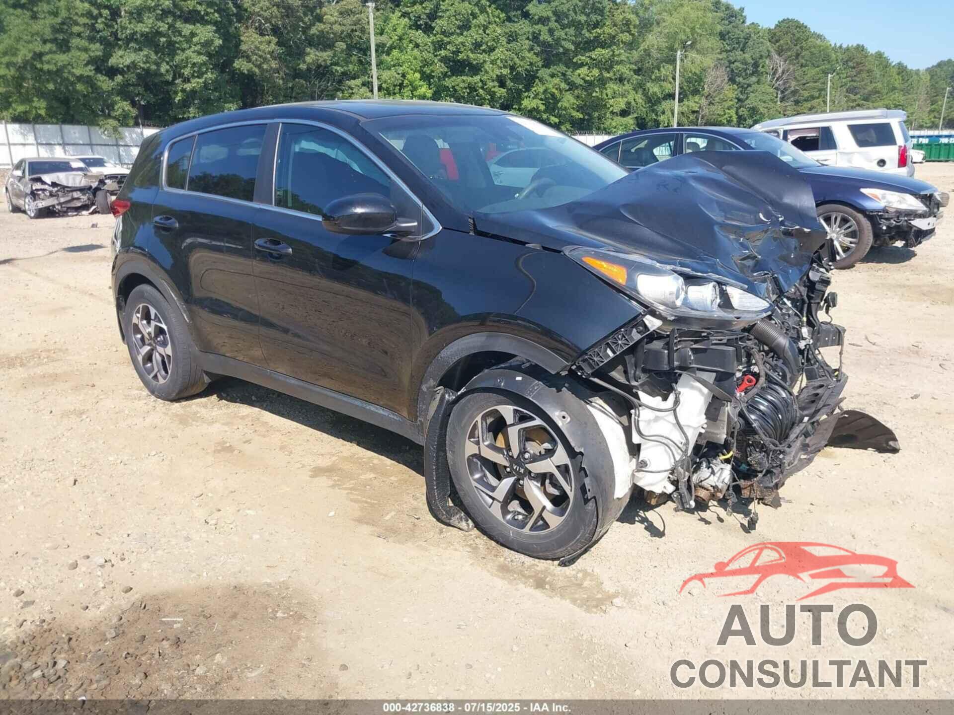KIA SPORTAGE 2022 - KNDPM3AC2N7967852