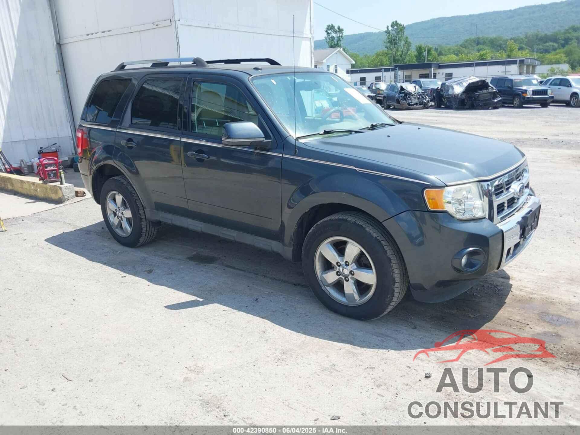 FORD ESCAPE 2009 - 1FMCU04G09KA34431