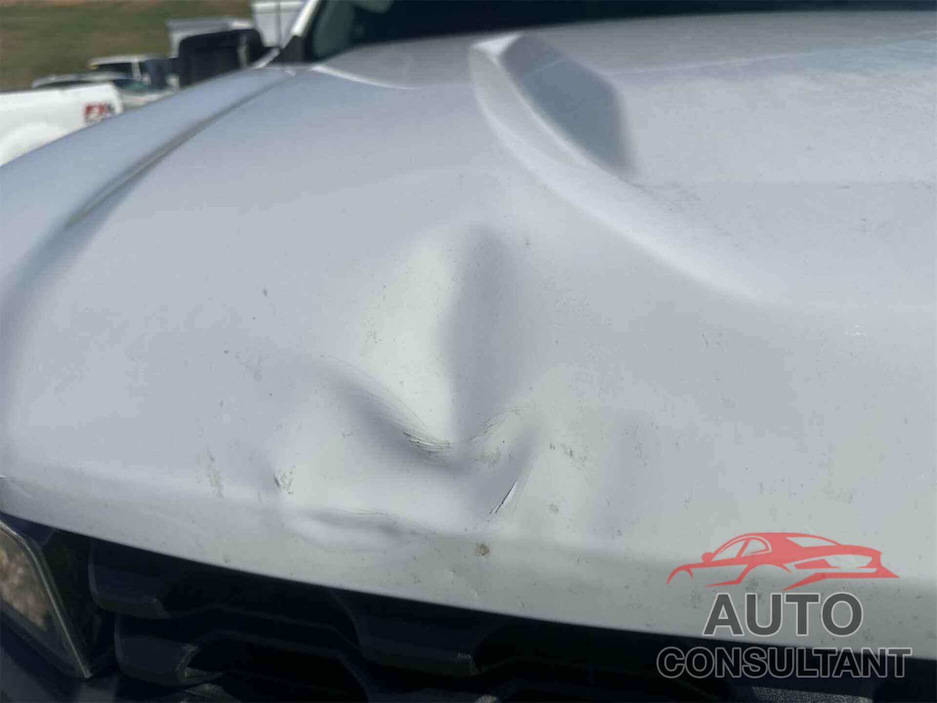 CHEVROLET SILVERADO 1500 2019 - 1GCRYAEF4KZ274190