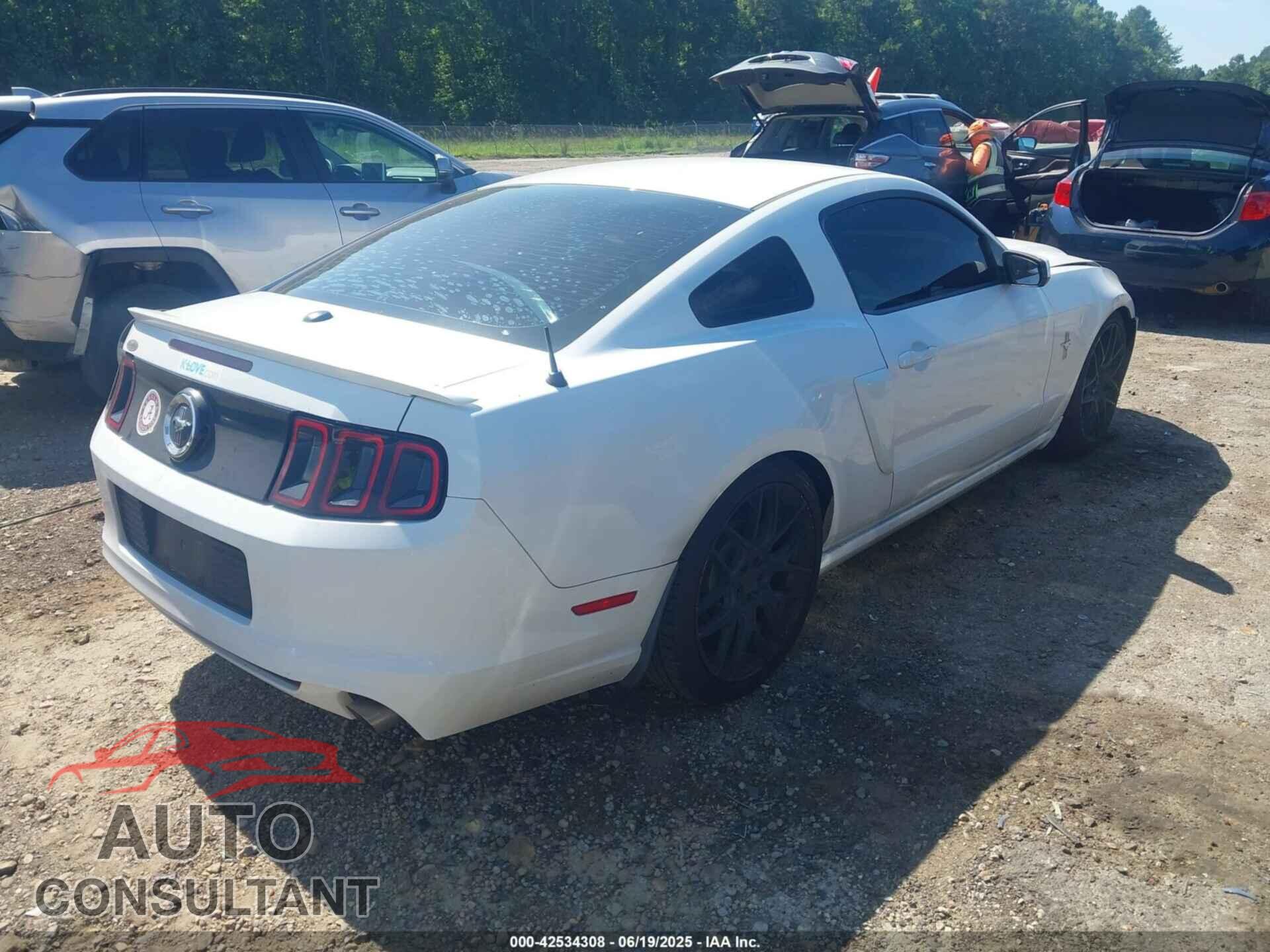 FORD MUSTANG 2014 - 1ZVBP8AM4E5282462