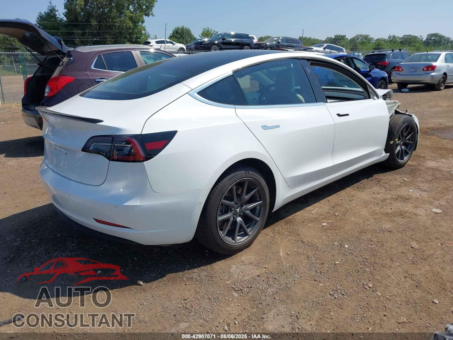 TESLA MODEL 3 2019 - 5YJ3E1EA2KF429392