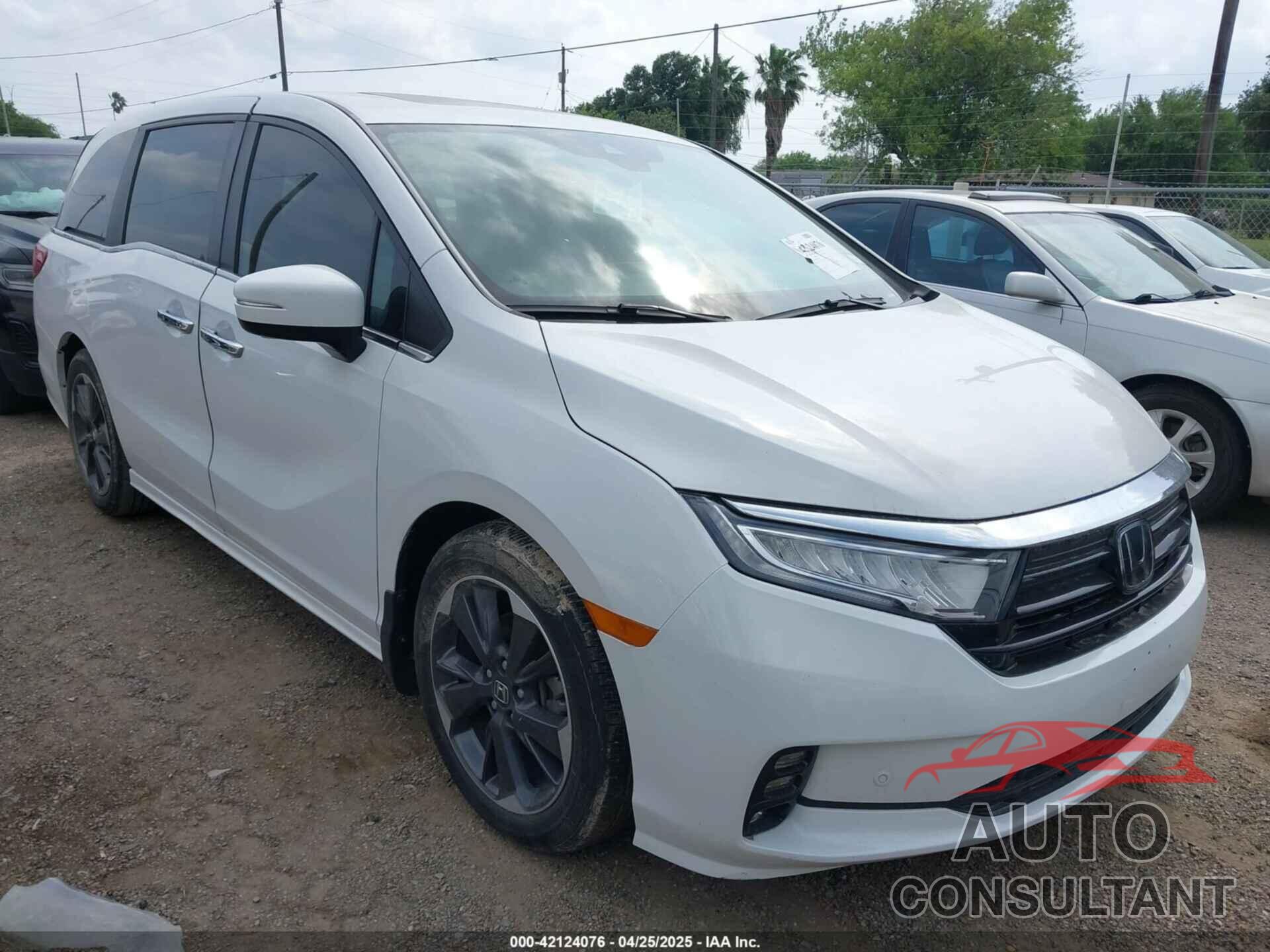 HONDA ODYSSEY 2023 - 5FNRL6H87PB061255