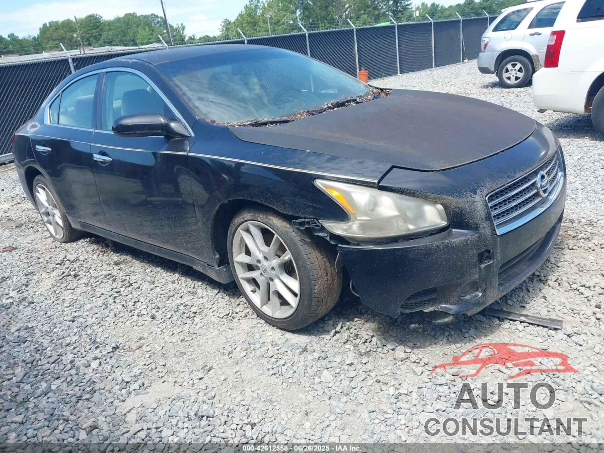 NISSAN MAXIMA 2011 - 1N4AA5AP9BC834060
